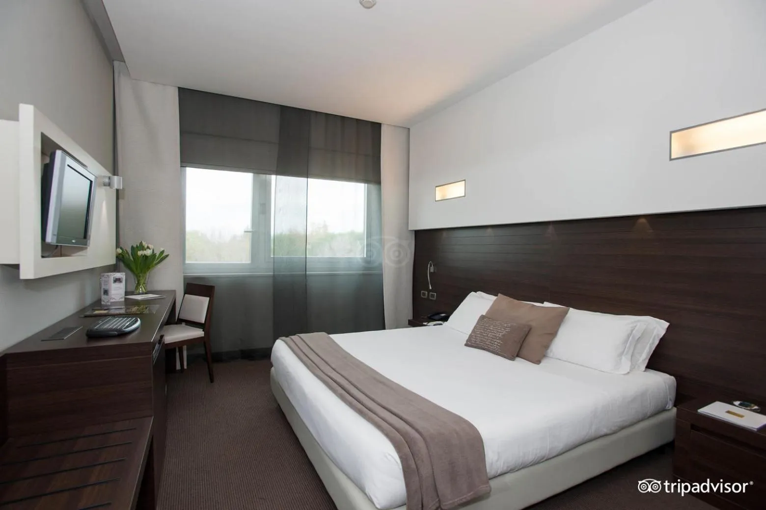 Day, Bed in Hotel Selene Pomezia