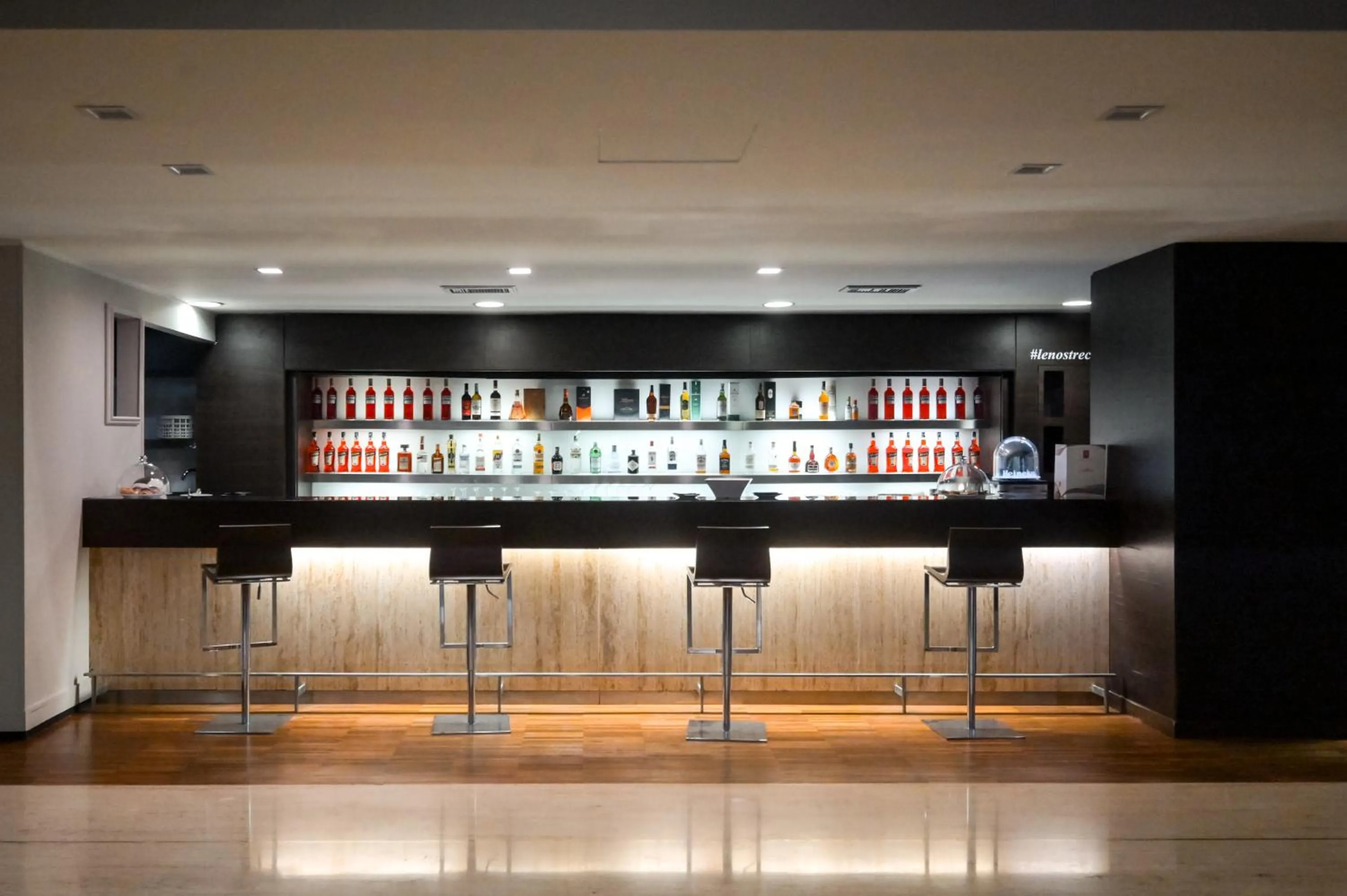 Lounge or bar in Hotel Selene Pomezia