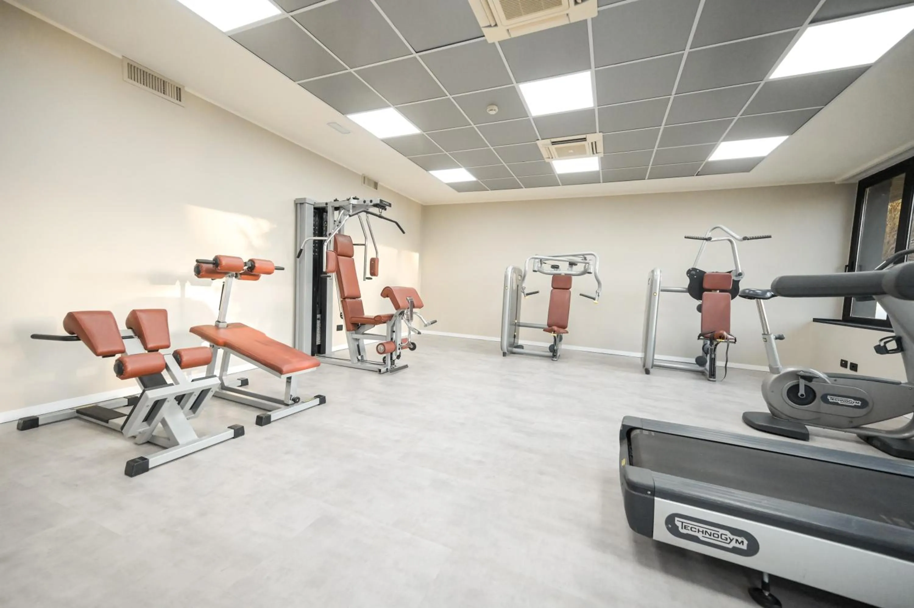 Fitness centre/facilities in Hotel Selene Pomezia