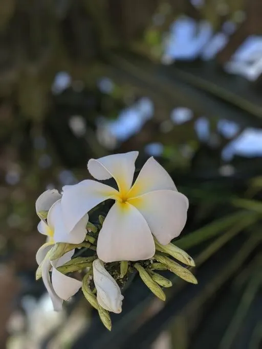 Property building in English Point Residence Beach Apartments Mombasa