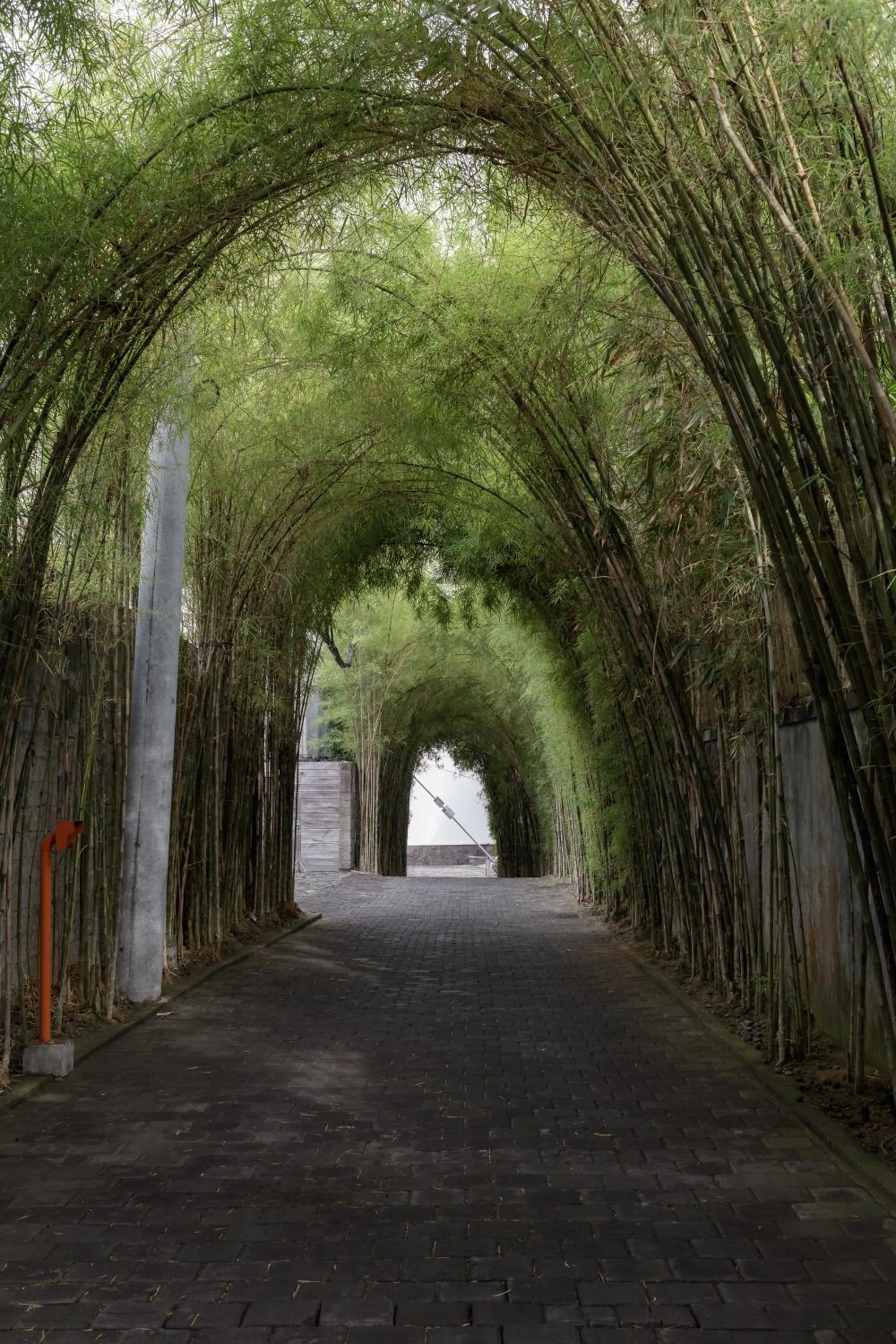 Facade/entrance in OXO Townhouses Berawa Canggu