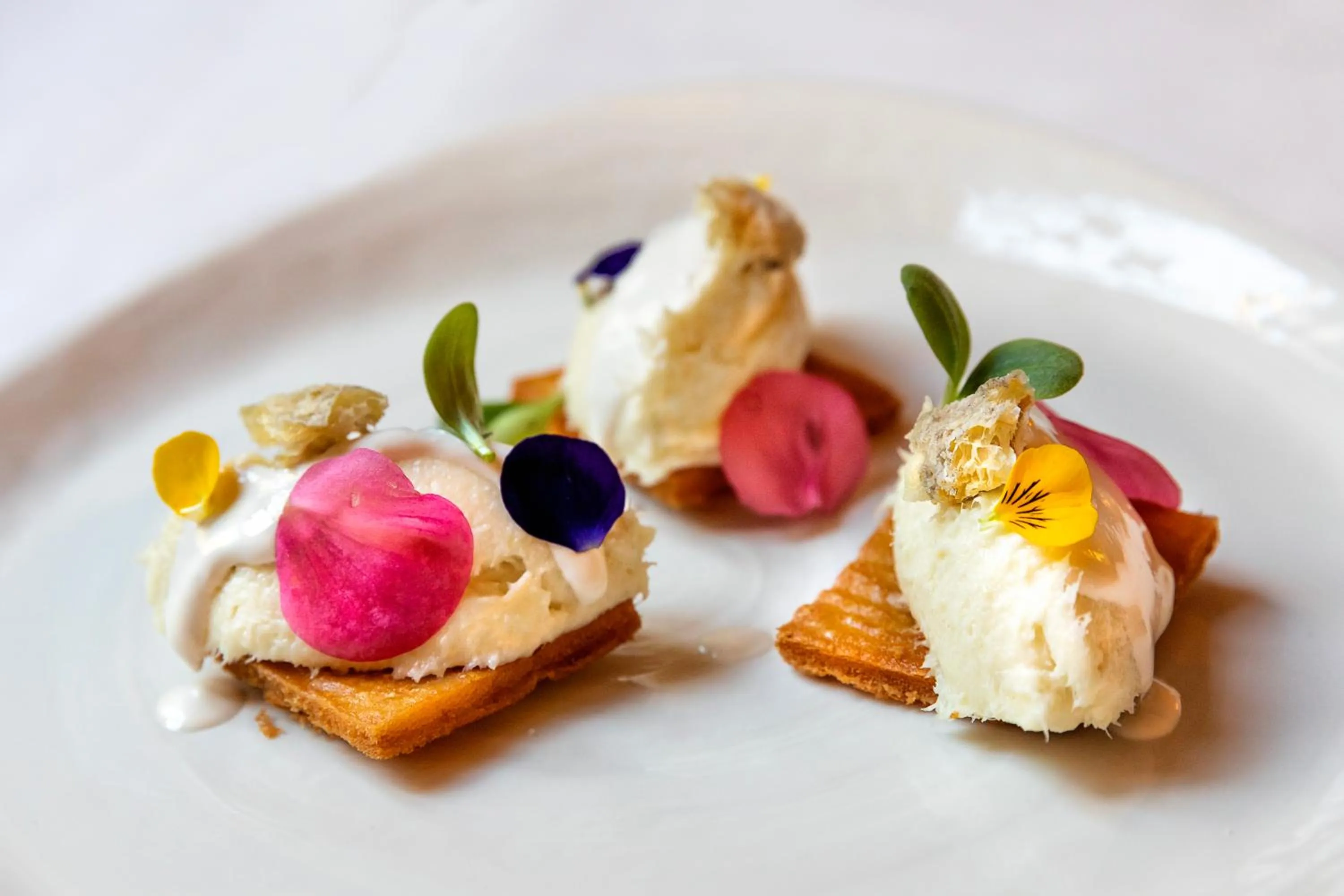 Restaurant/places to eat in Palazzo Firenze by Baglioni Hotels & Resorts