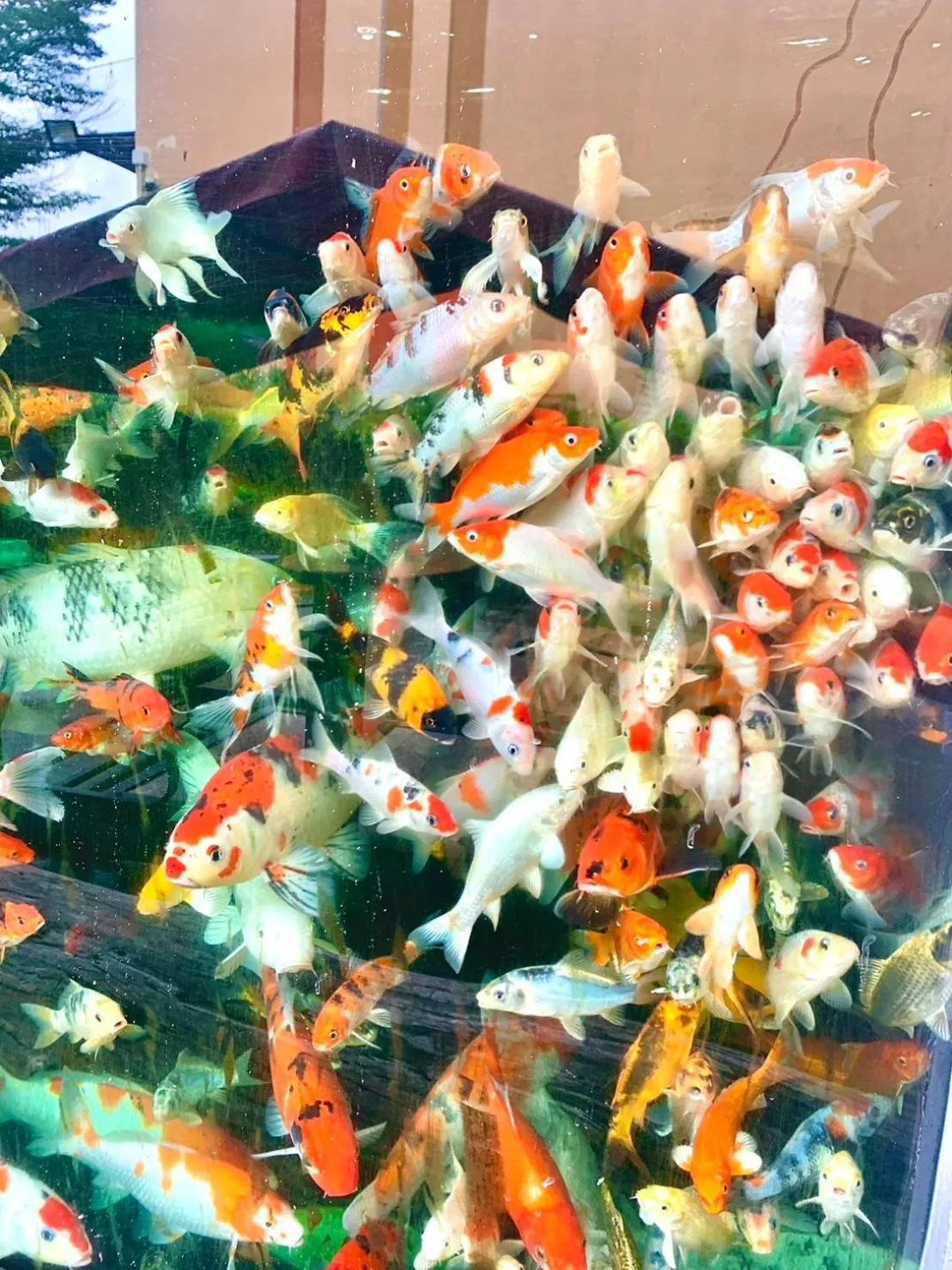 BANGKOK.GRAND.RESORT