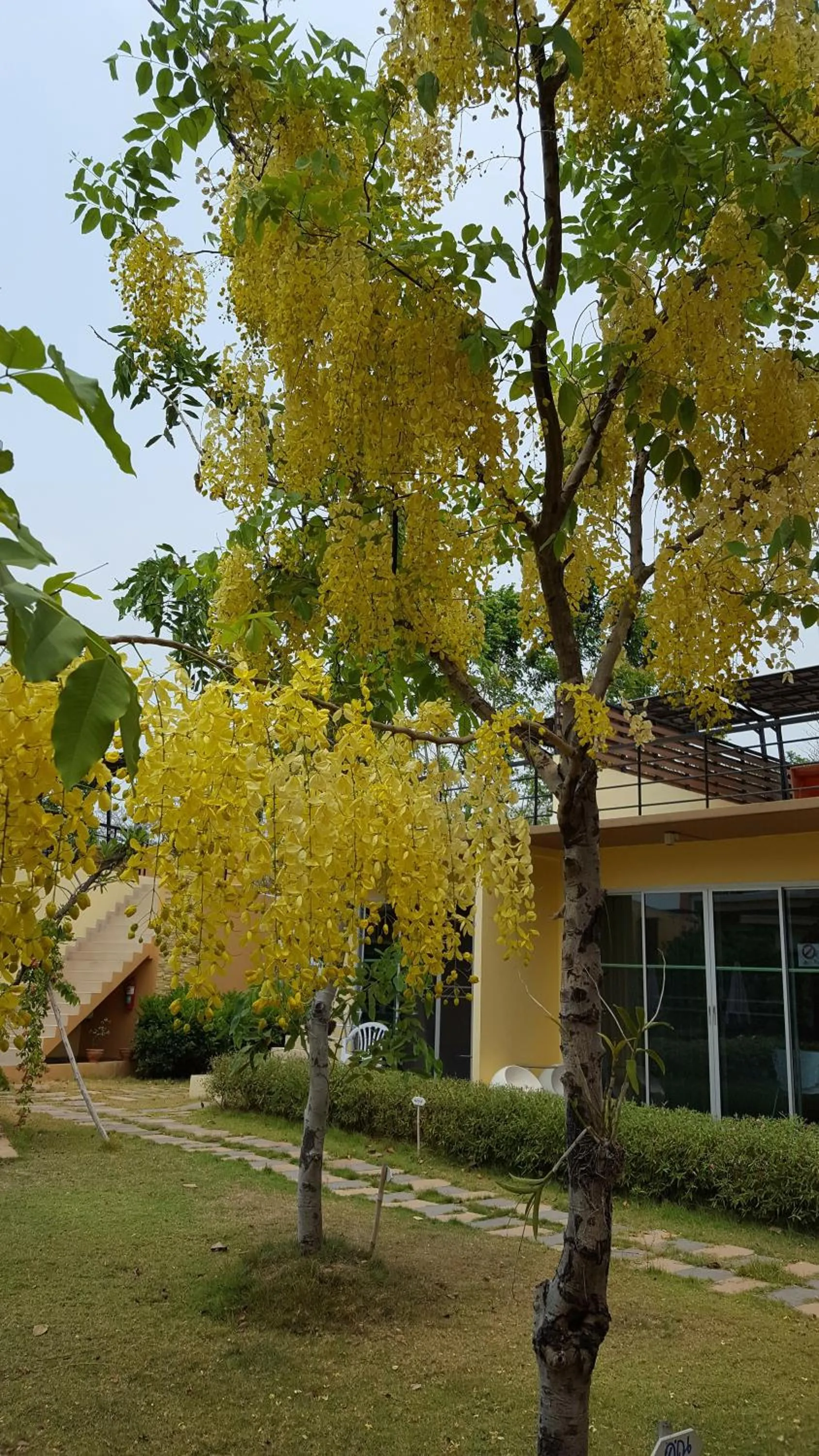 Garden view in BANGKOK.GRAND.RESORT