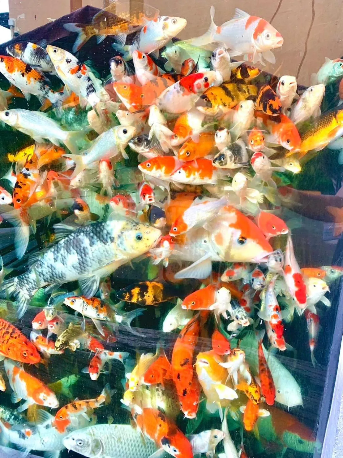 BANGKOK.GRAND.RESORT