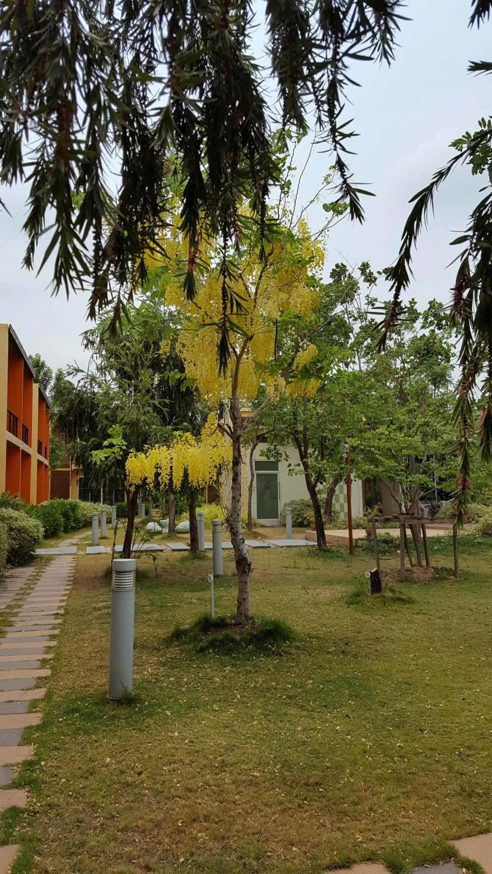 Balcony/Terrace in BANGKOK.GRAND.RESORT