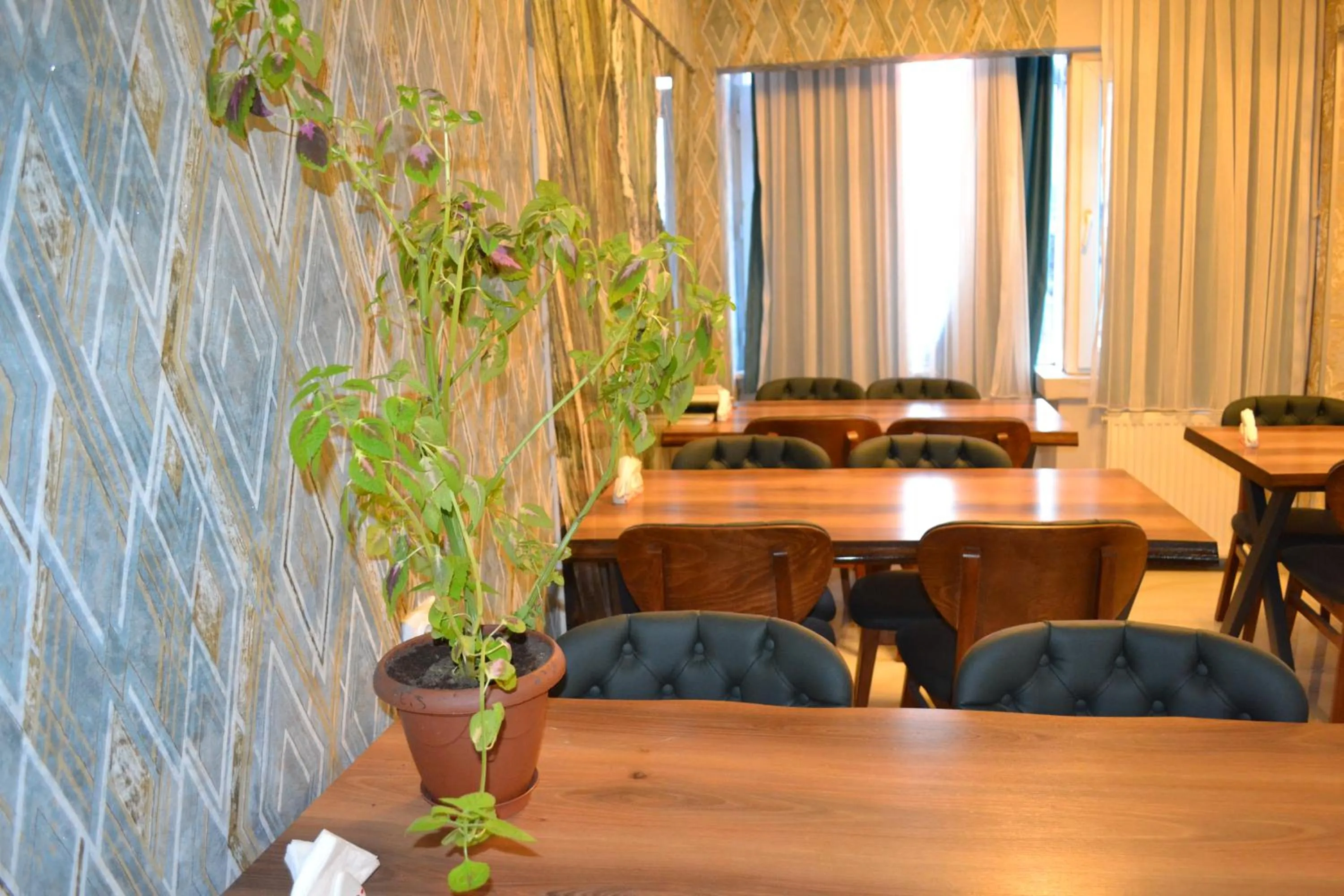 Dining area in Bona Sera Hotel