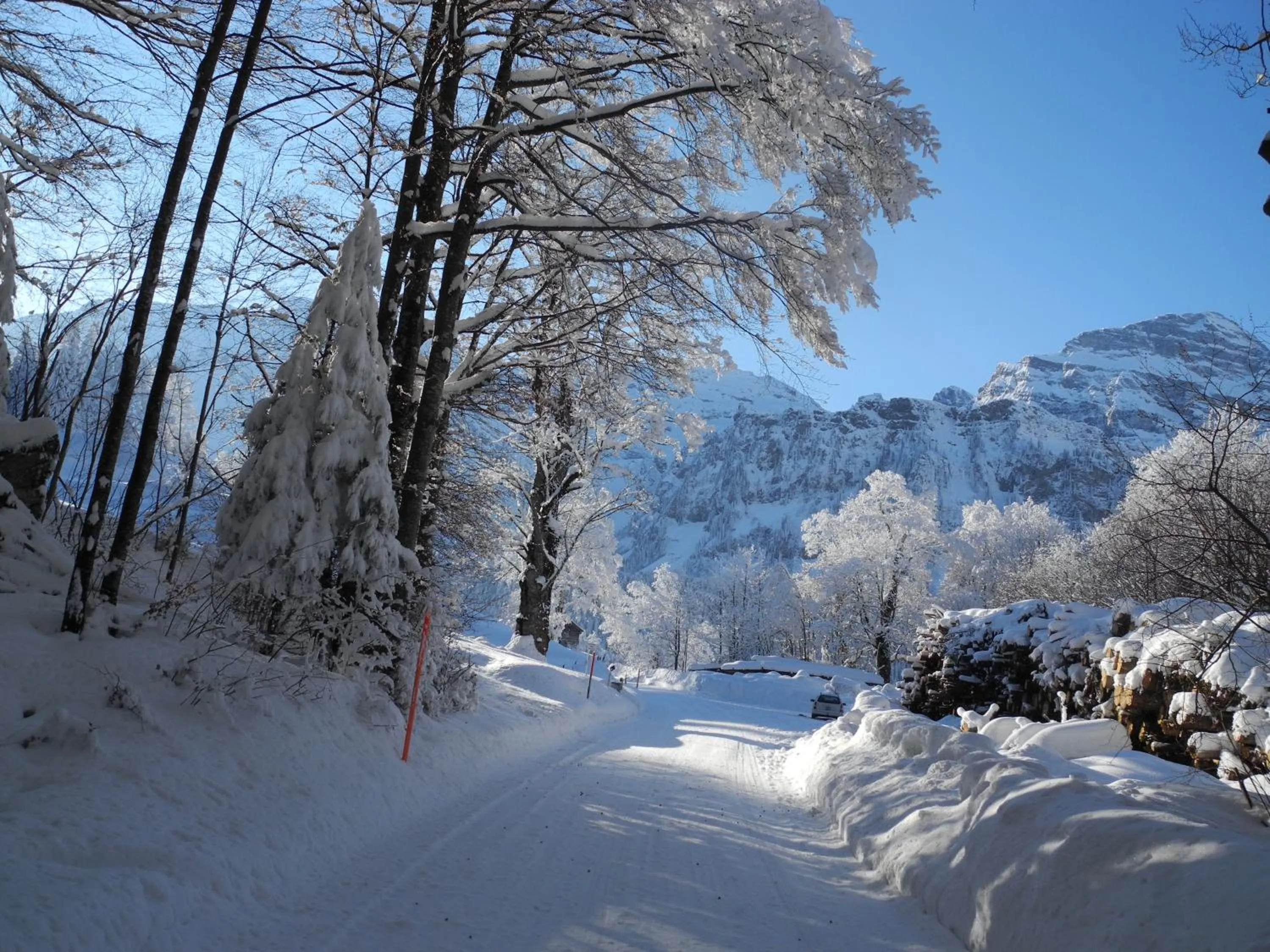 Natural landscape in Gasthaus Schwand