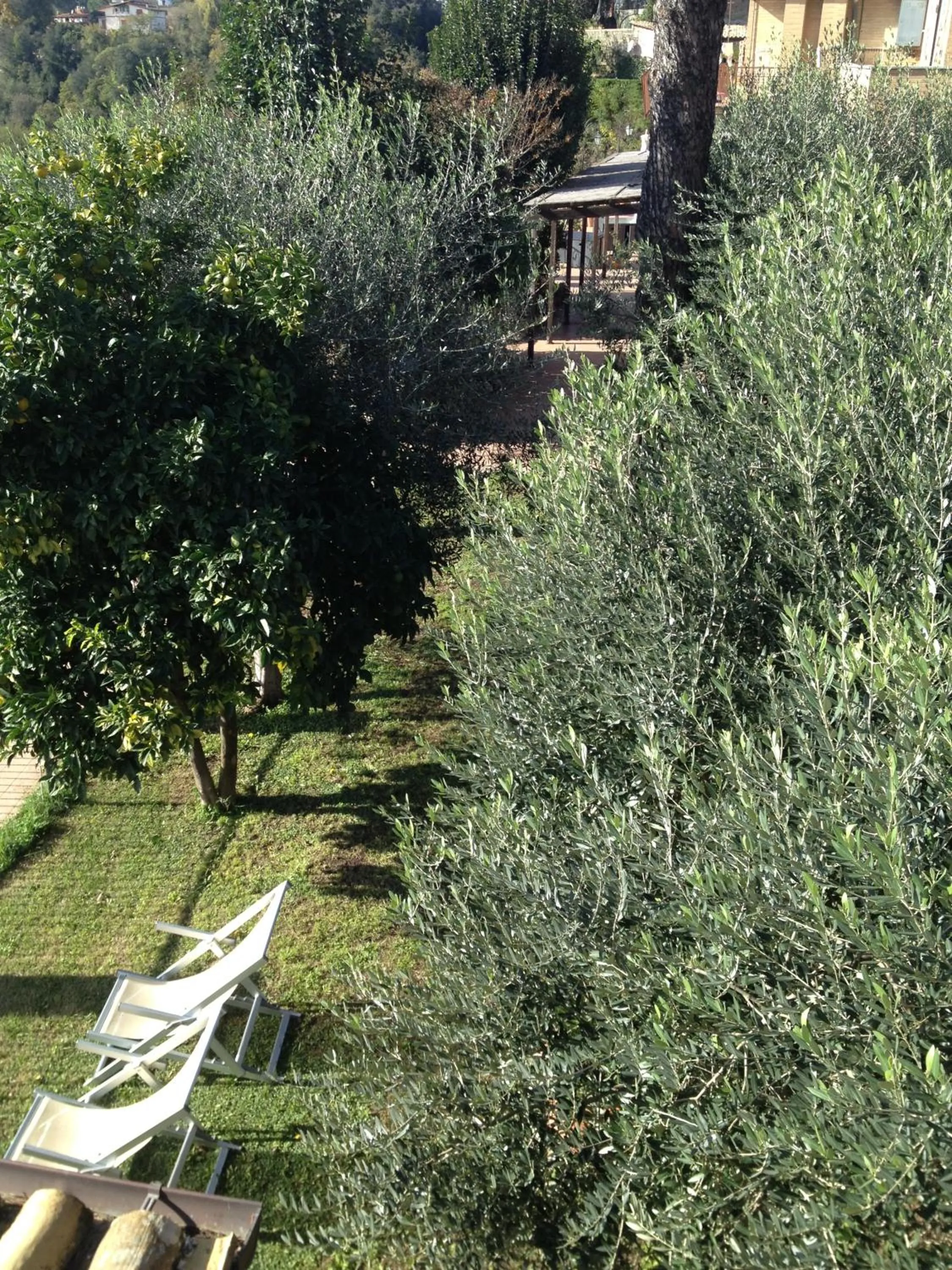 Balcony/Terrace in Hotel Tempio di Apollo