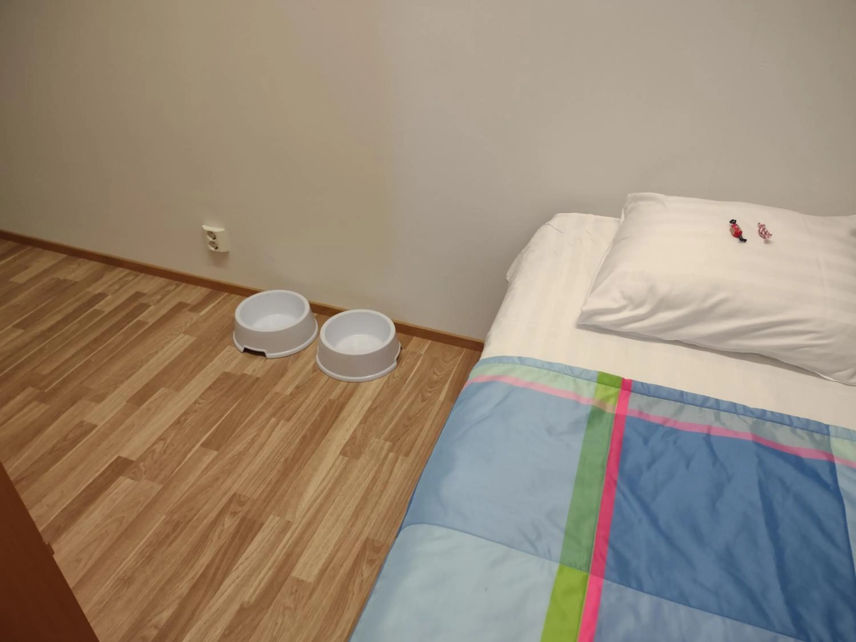 Pets, Bed in Hotel 24 - Karihaara - Kemi