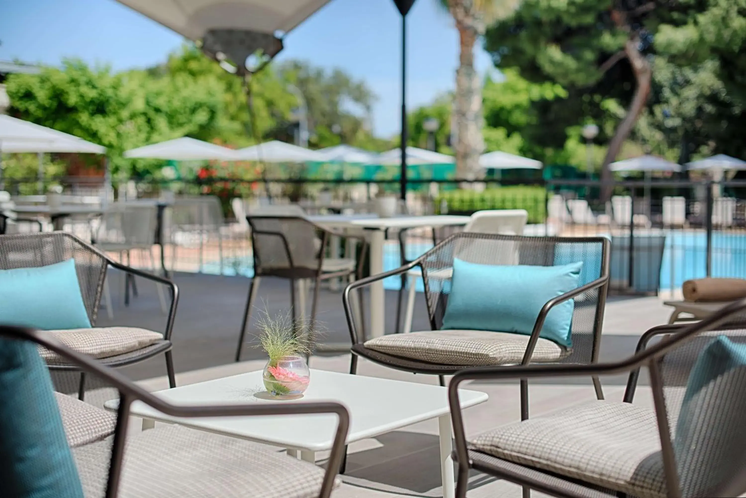 Pool view in NH Palermo Pool view in NH Palermo