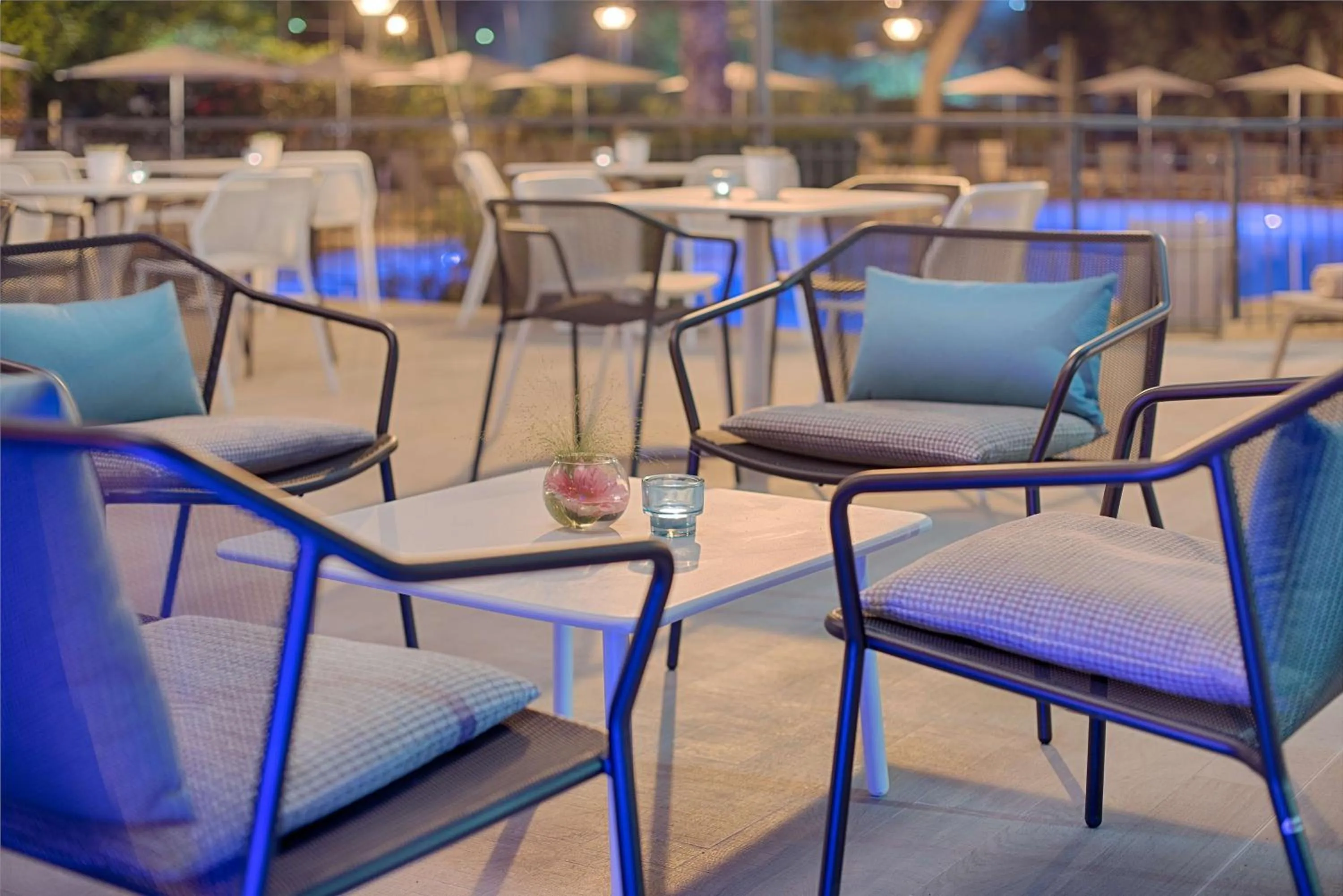 Activities in NH Palermo