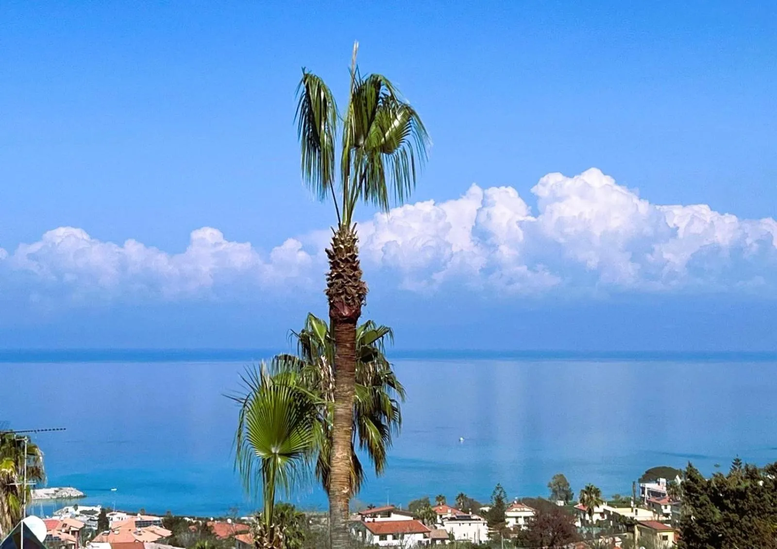 Natural landscape in Hotel Calysea Tropea - Breakfast & Brunch Until 13-00 Included - Free Private Parking