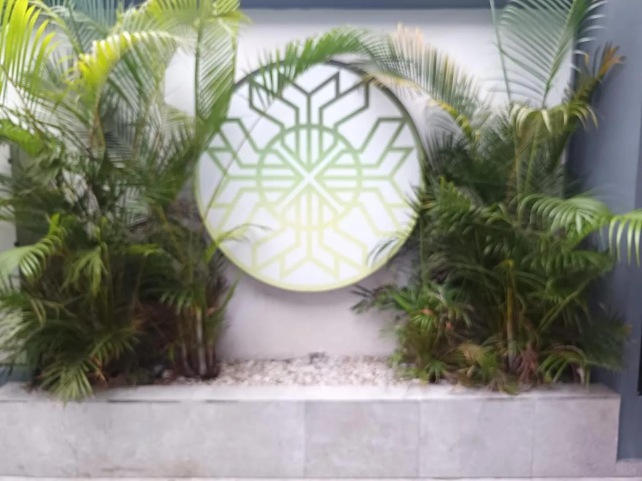 Day in Hotel Kavia Mazatlán