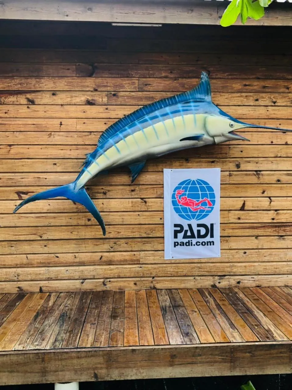 Property building in Hotel and Dive Center Roatan Yacht Club