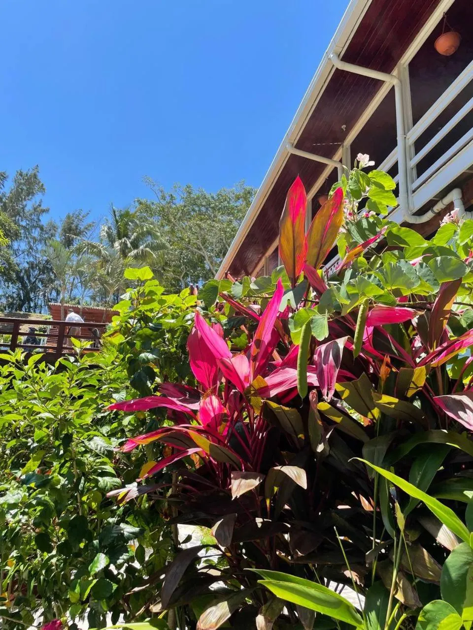 Property building in Hotel and Dive Center Roatan Yacht Club