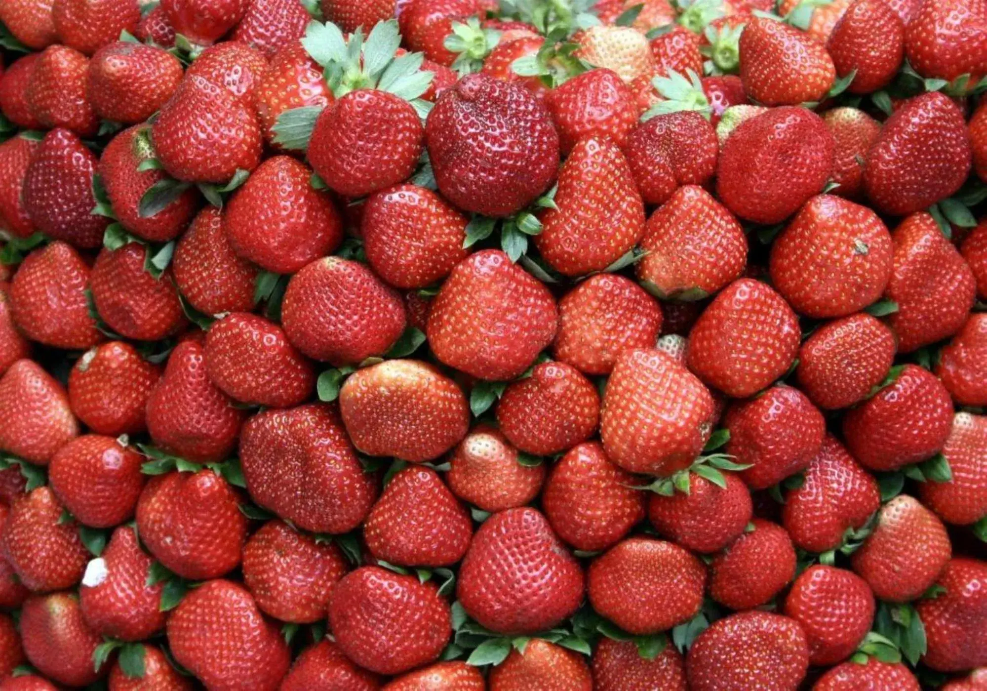 Food in RedDoorz Hostel at MRC Residences Baguio Food in RedDoorz Hostel at MRC Residences Baguio