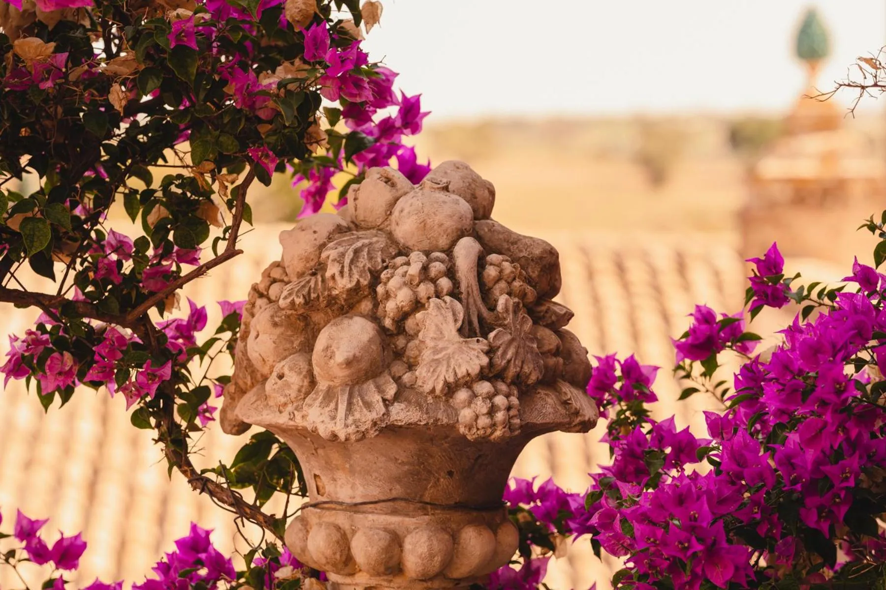 Garden view in Hotel Villa Giulia