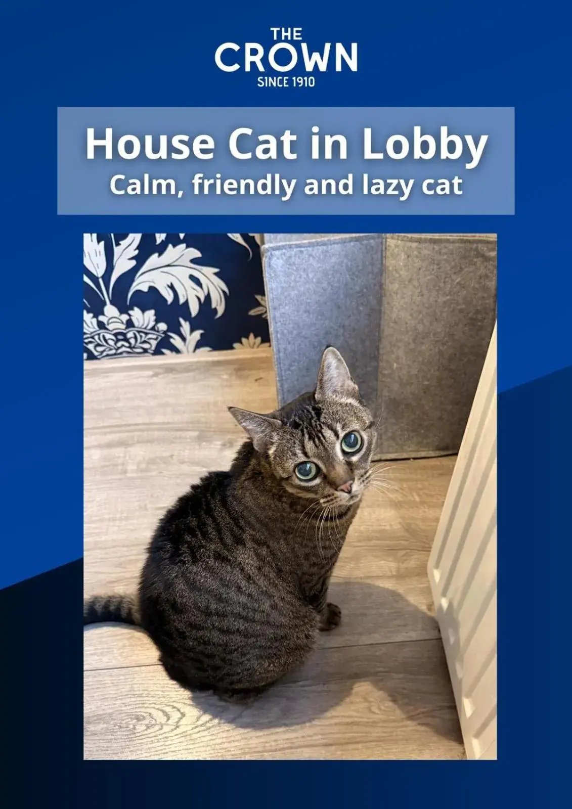 Property building in The Crown Hotel Property building in The Crown Hotel