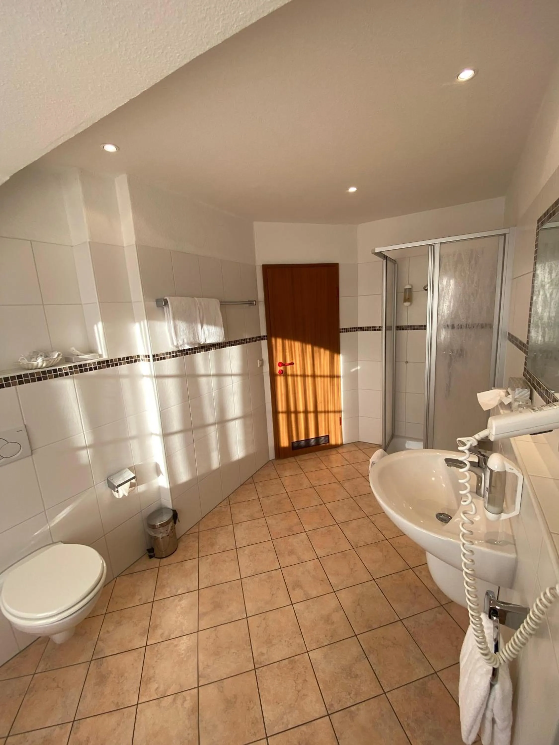 Shower in Hotel Seerose Bad Malente