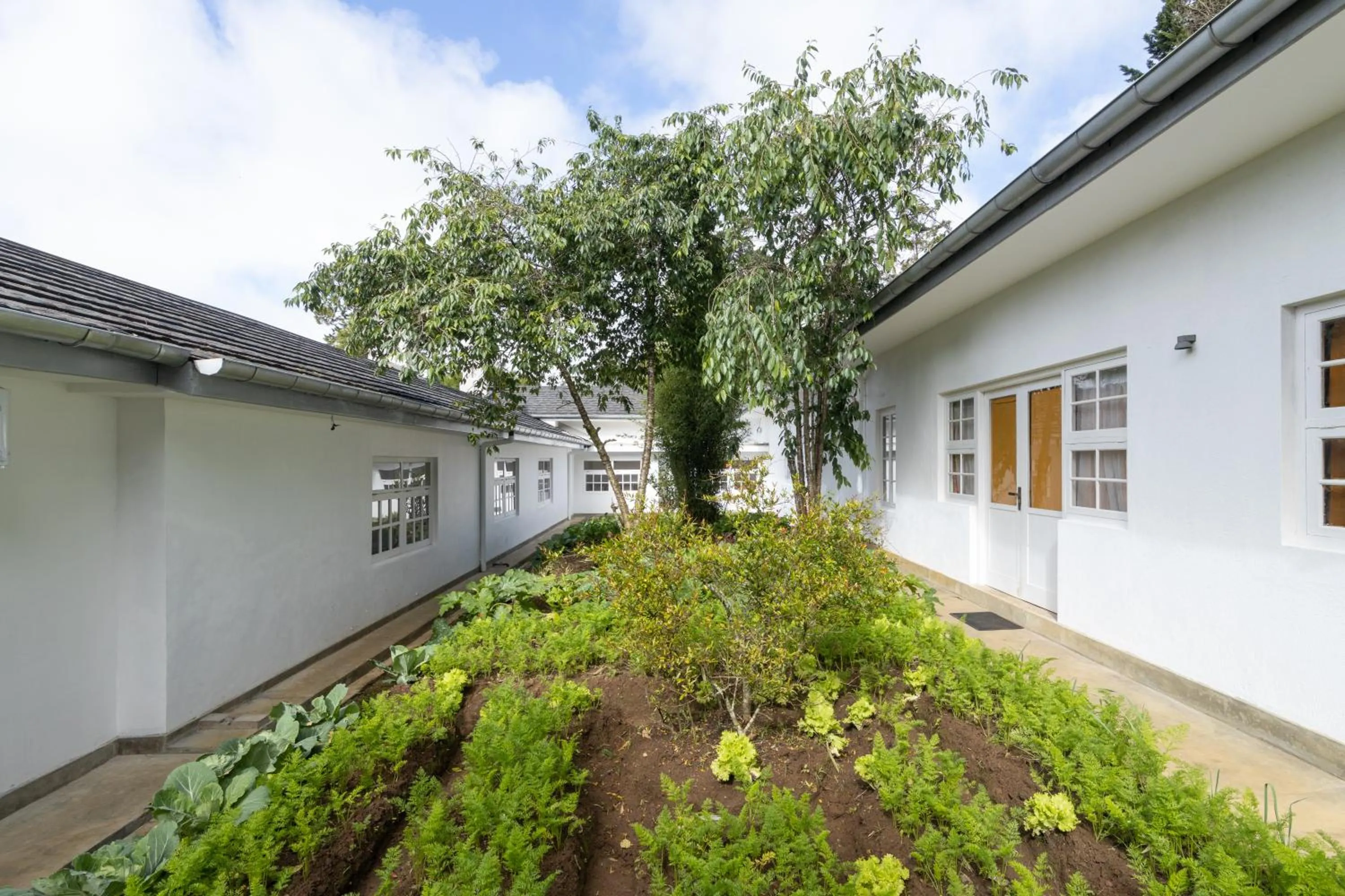 Garden in Jetwing Broomfield Bungalow