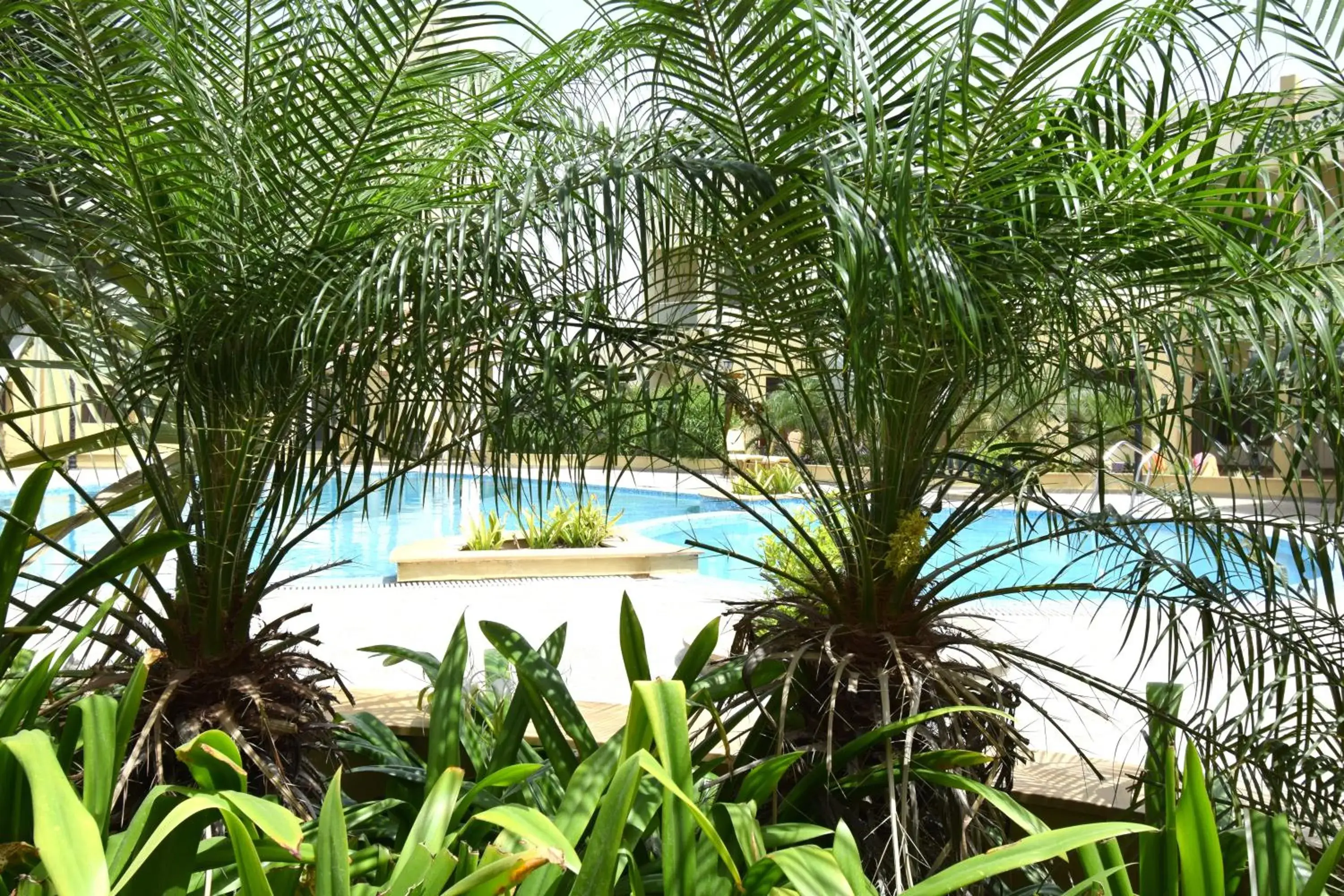 Swimming pool in Bapu's Resort, Dwarka Swimming pool in Bapu's Resort, Dwarka