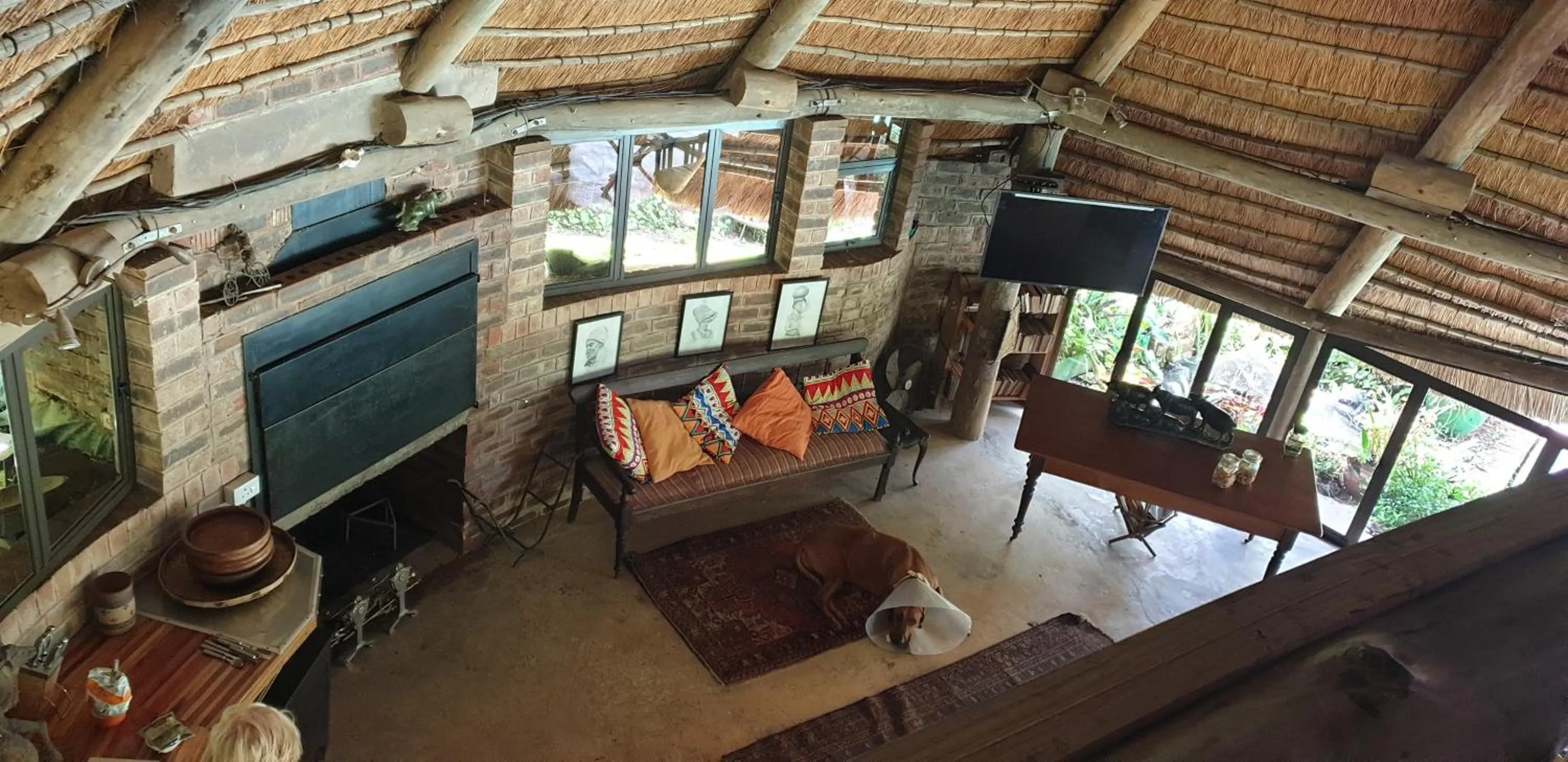 TV and multimedia in The Lapa