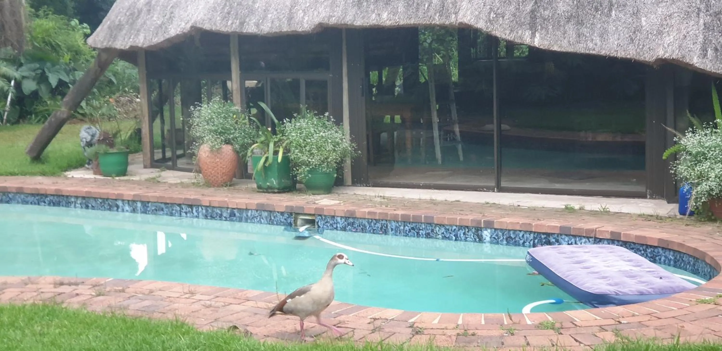 Pool view in The Lapa