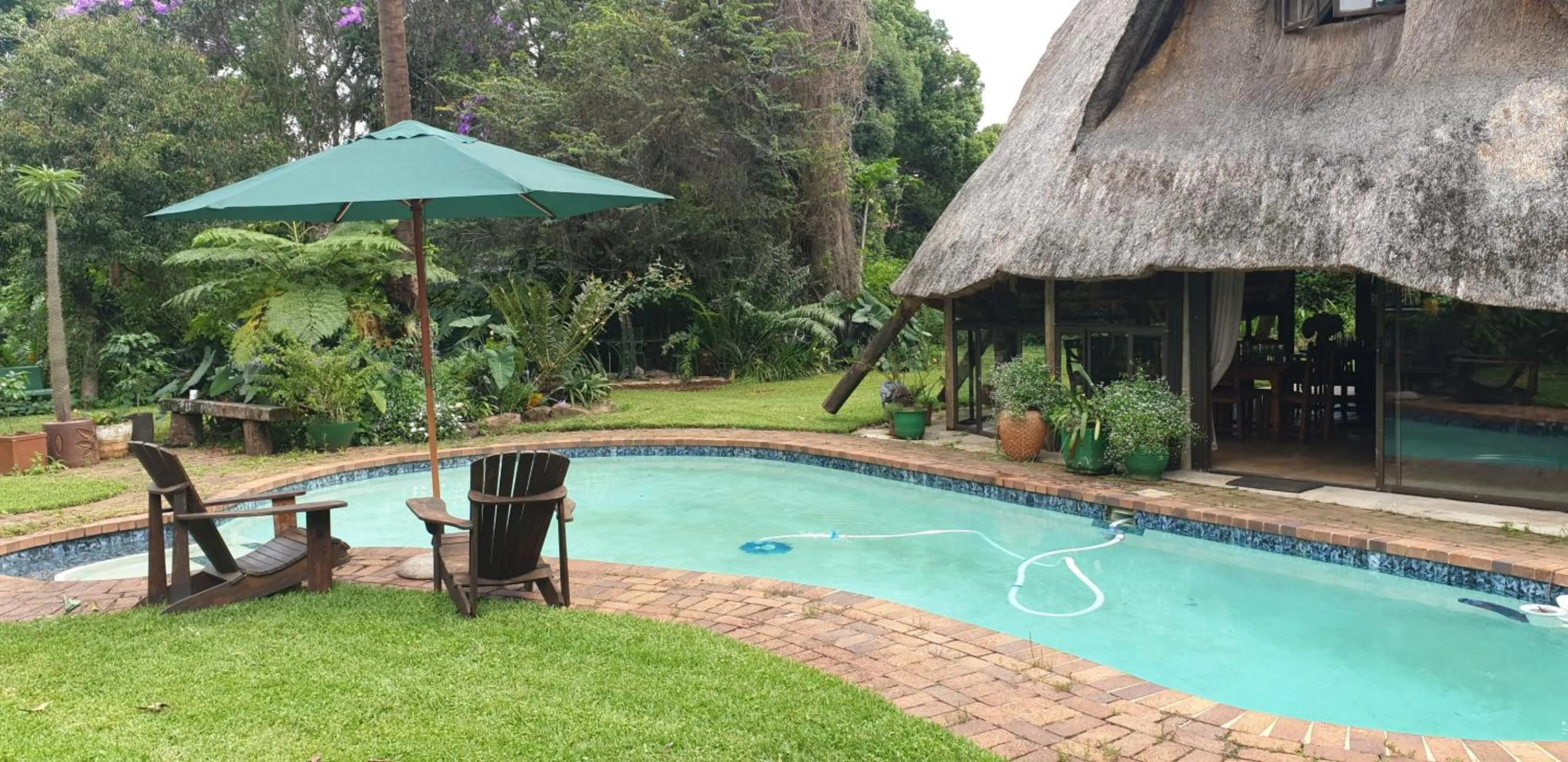 Garden in The Lapa