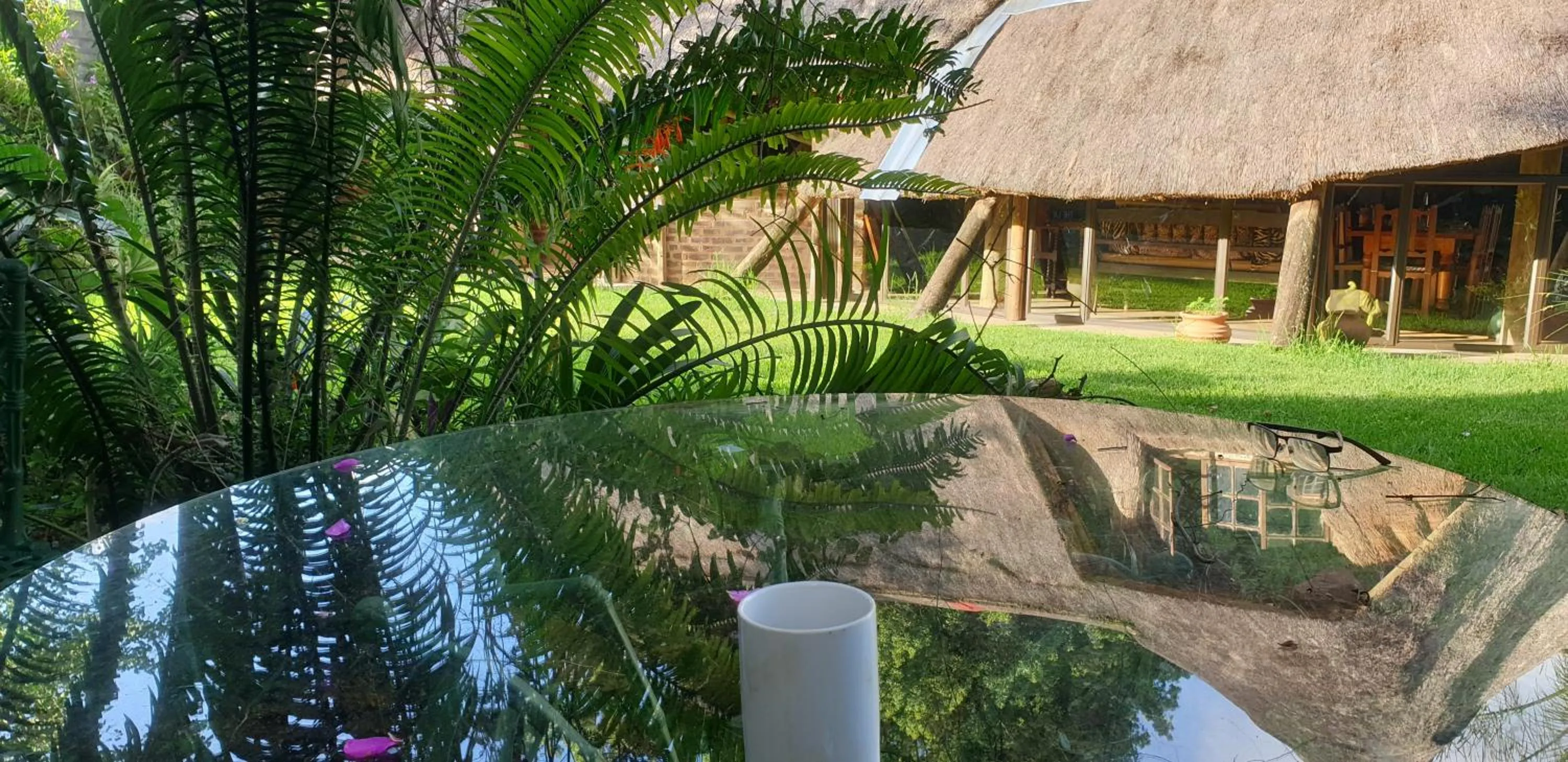 Garden view in The Lapa
