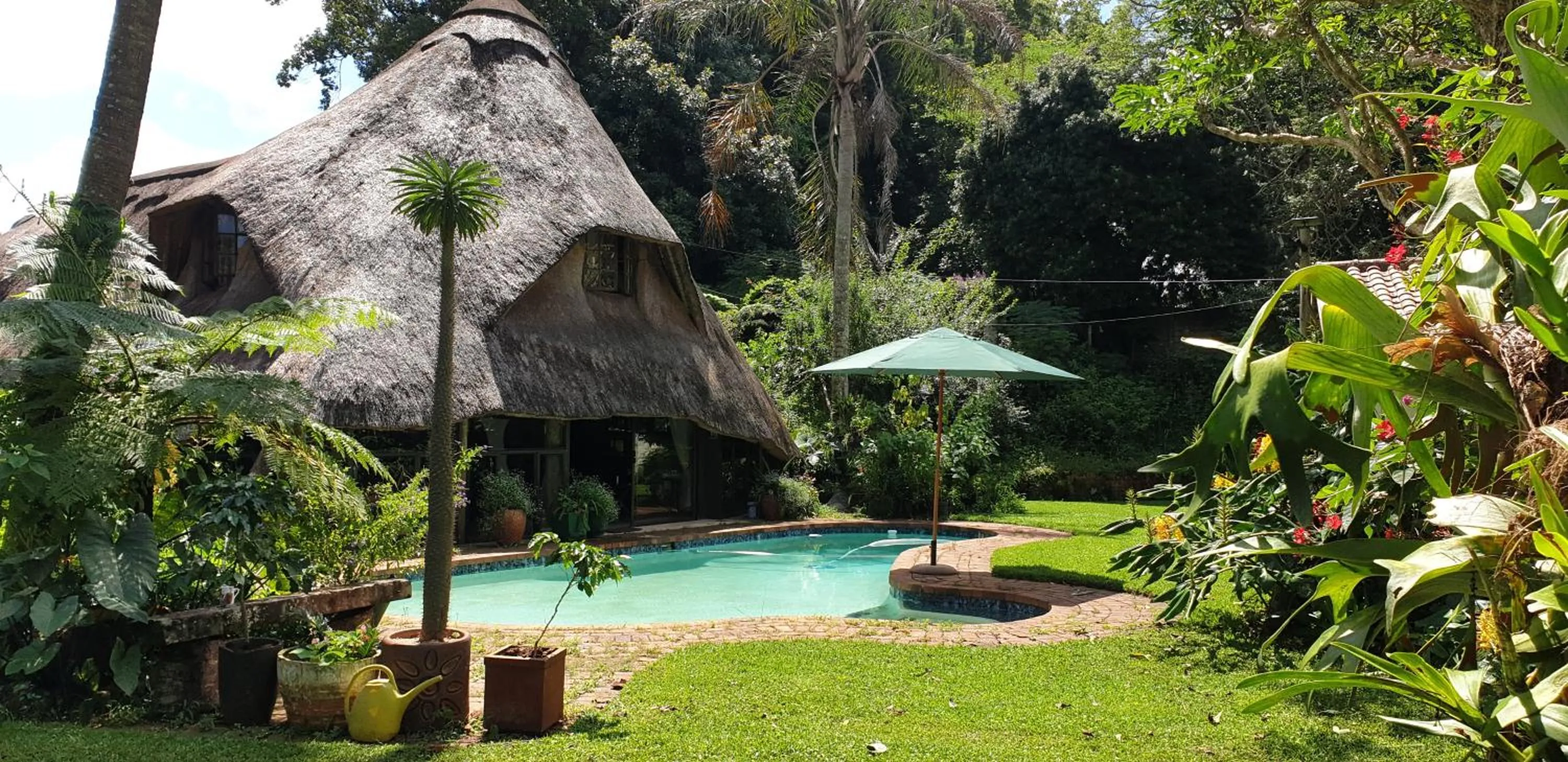 Garden in The Lapa