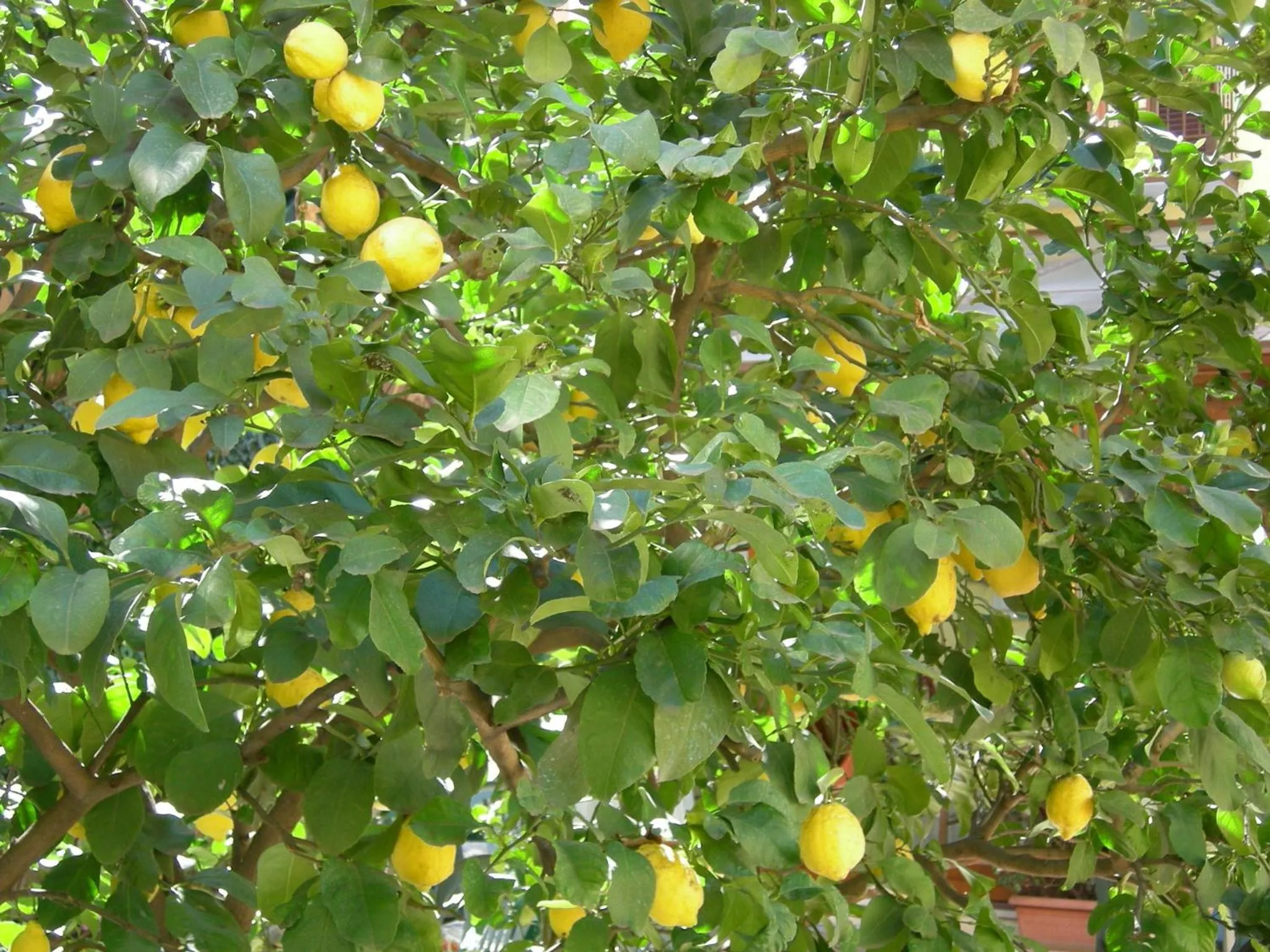 Other in Hotel Select Garden