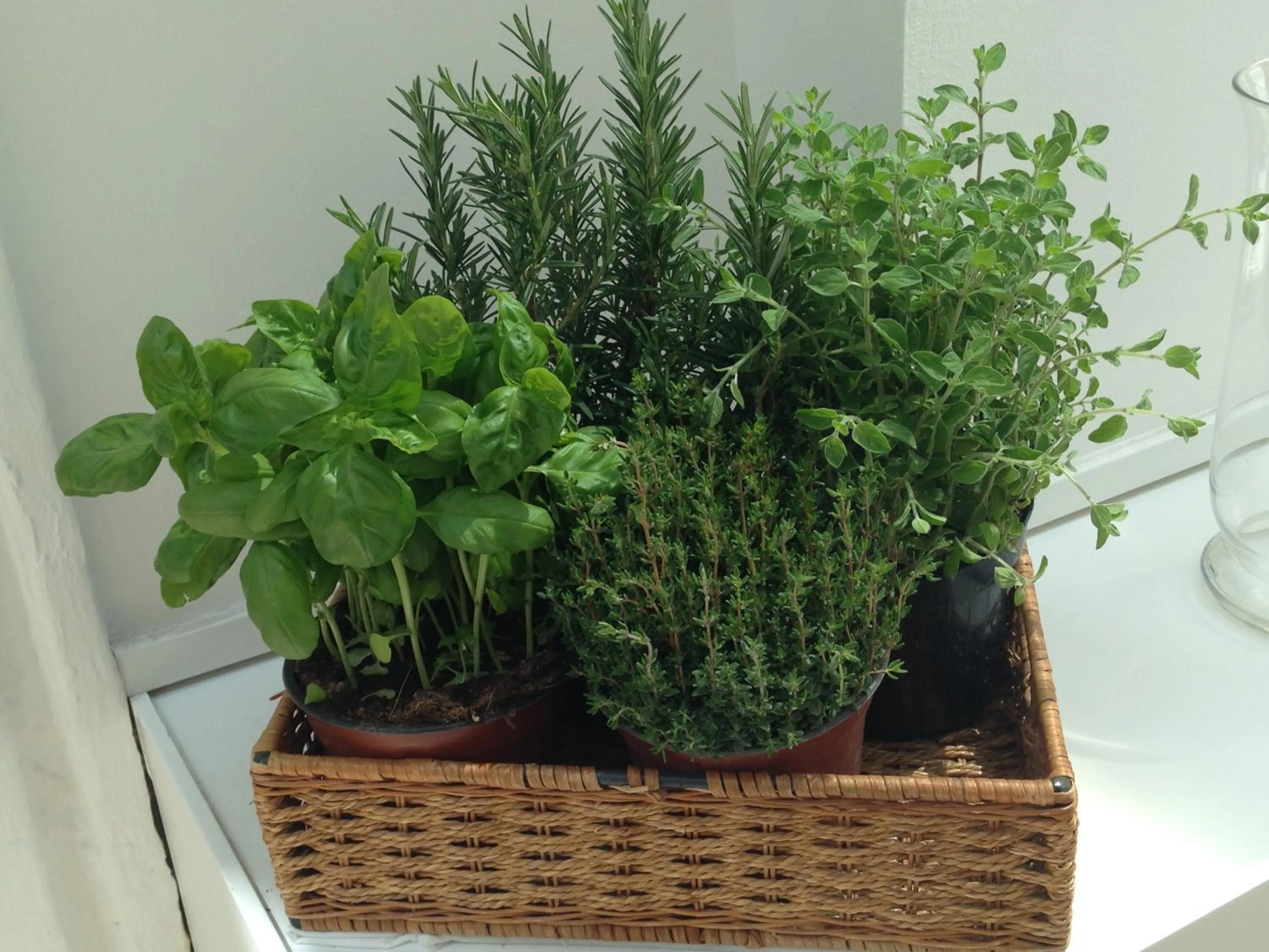 Area and facilities in Hotel Select Garden