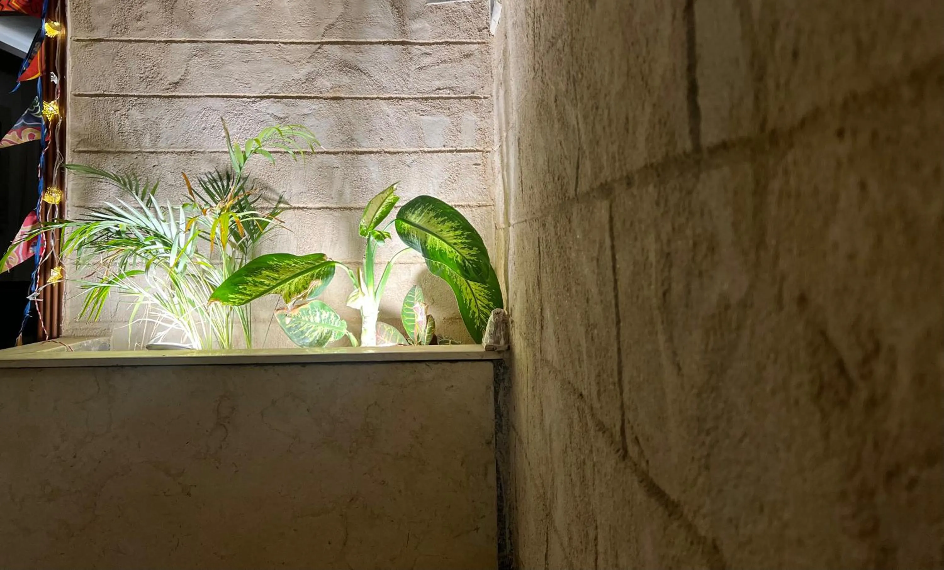 Property building in Pyramids top success result