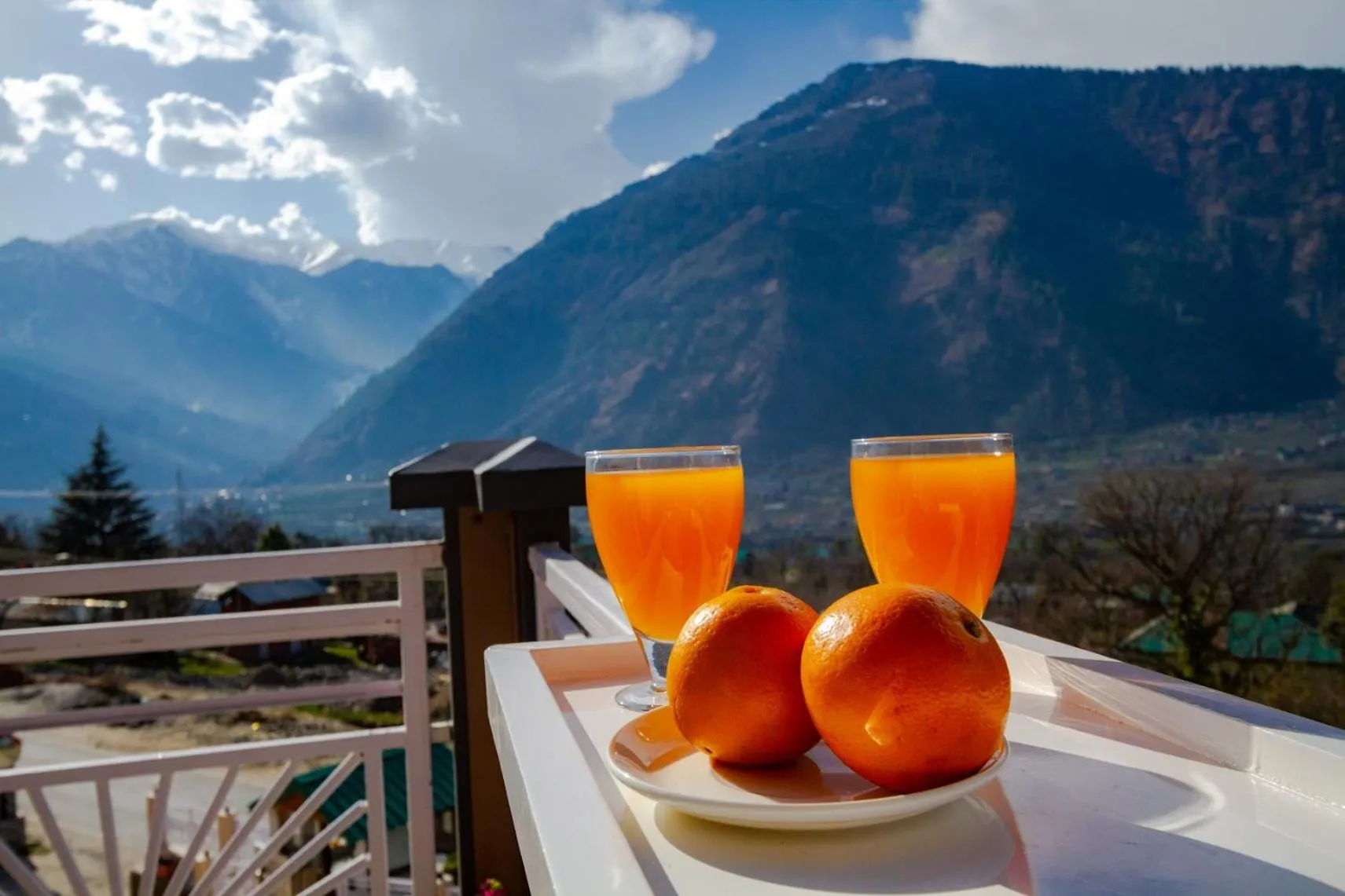 Food and drinks in Anand Vardhan Resorts