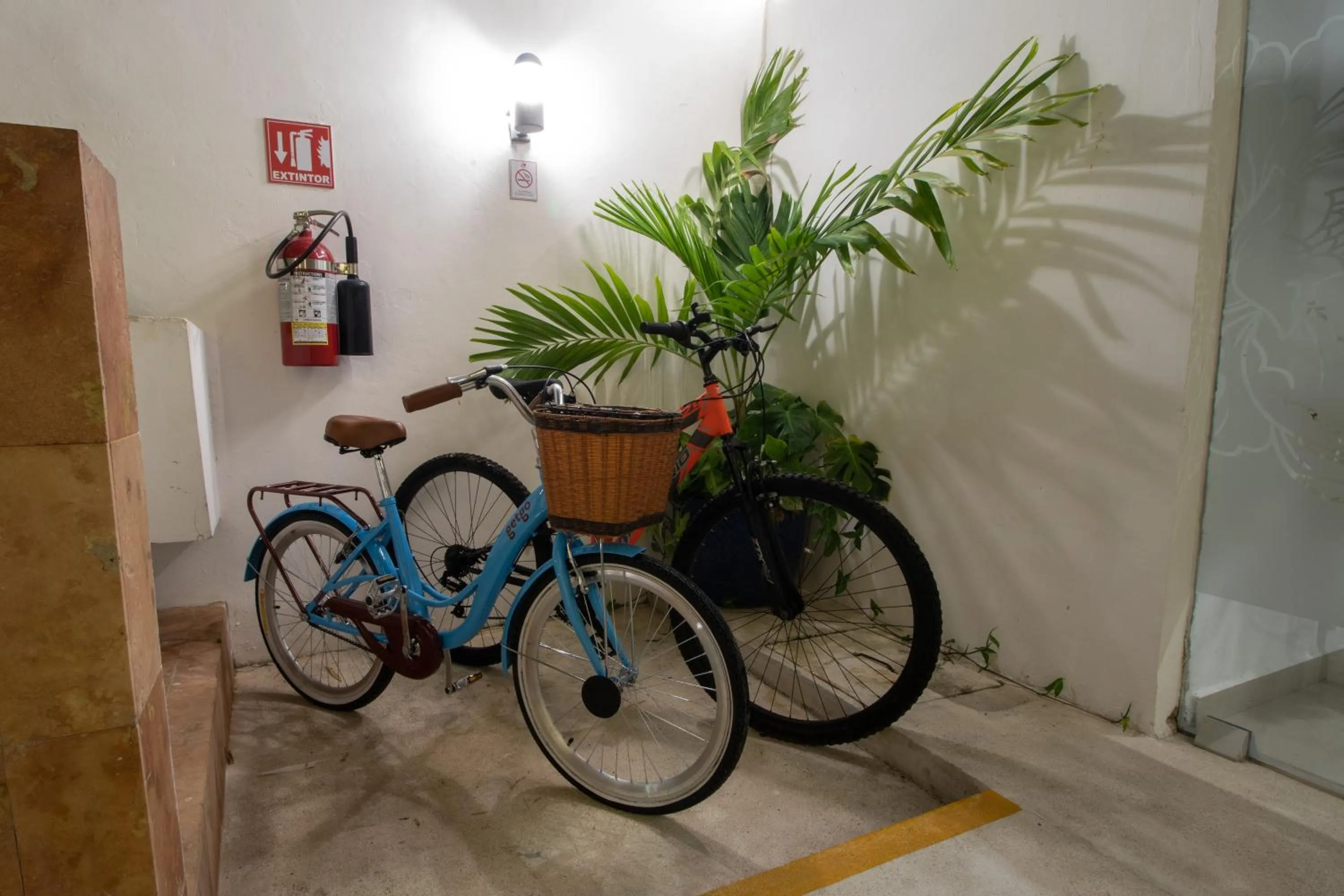 Activities in Hotel Villas Segovia Playa del Carmen