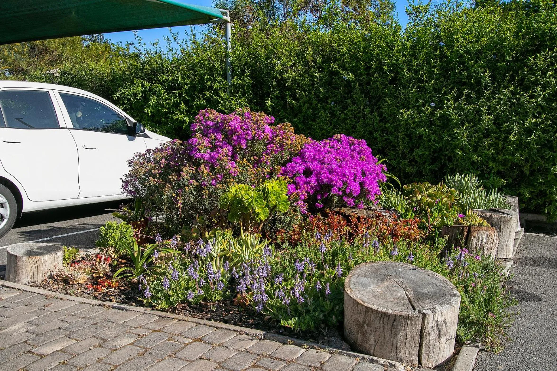 Garden in Serengeti selfcatering apartments Perfect Stay