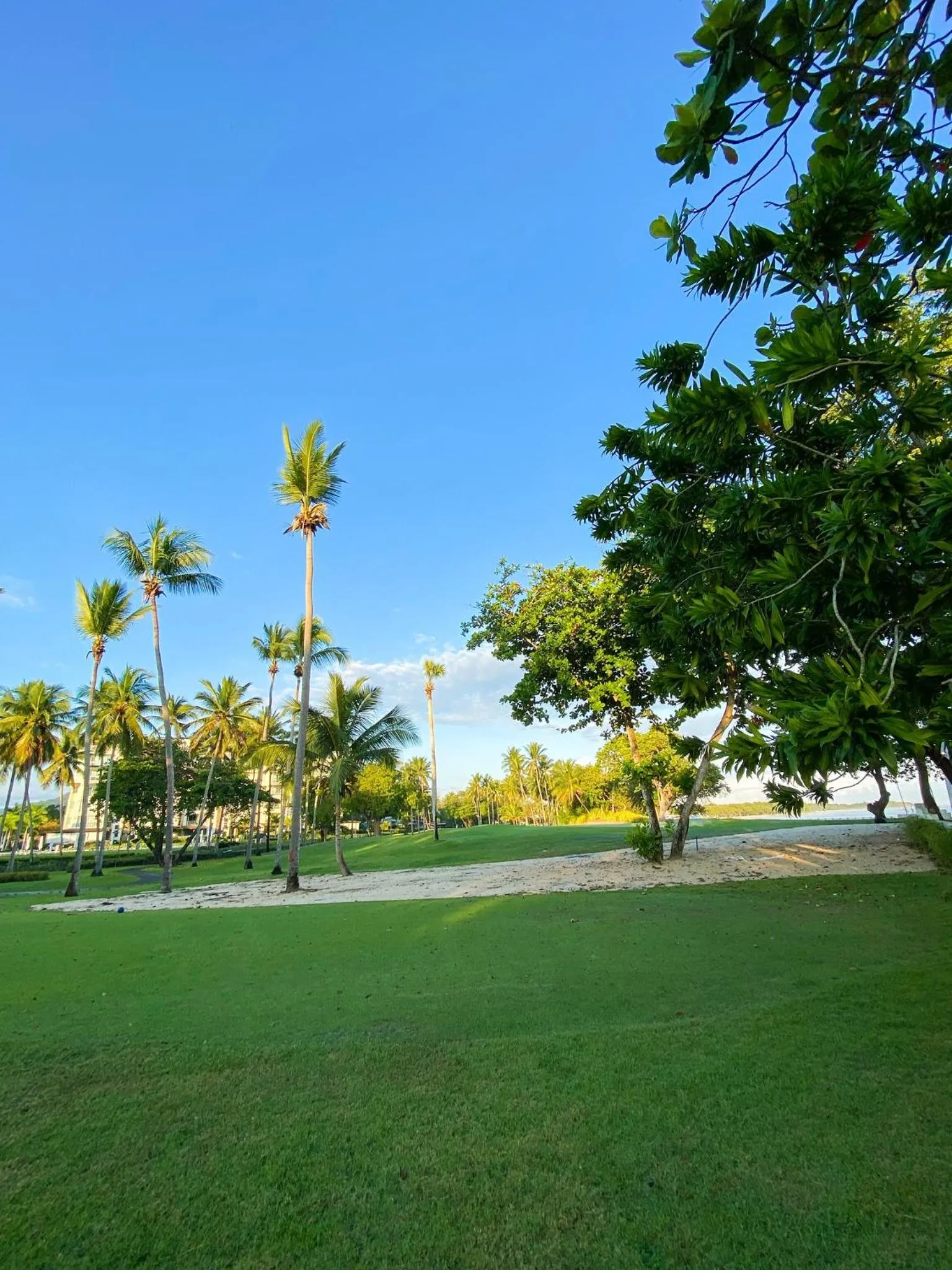 Natural landscape in Xeliter Green One Playa Dorada