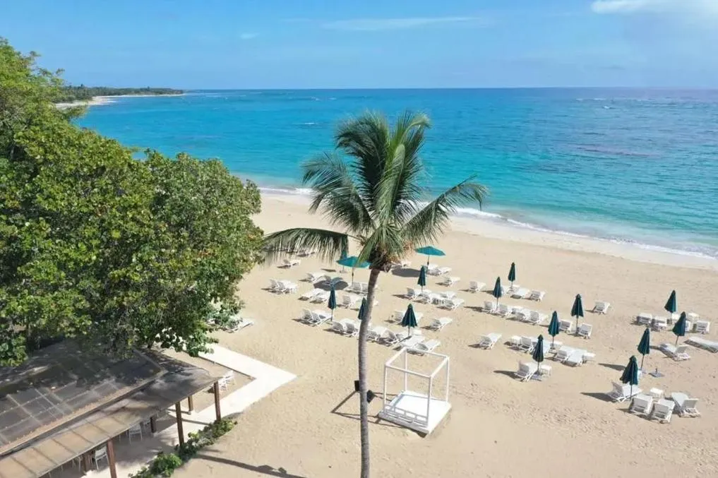 Spring in Xeliter Green One Playa Dorada