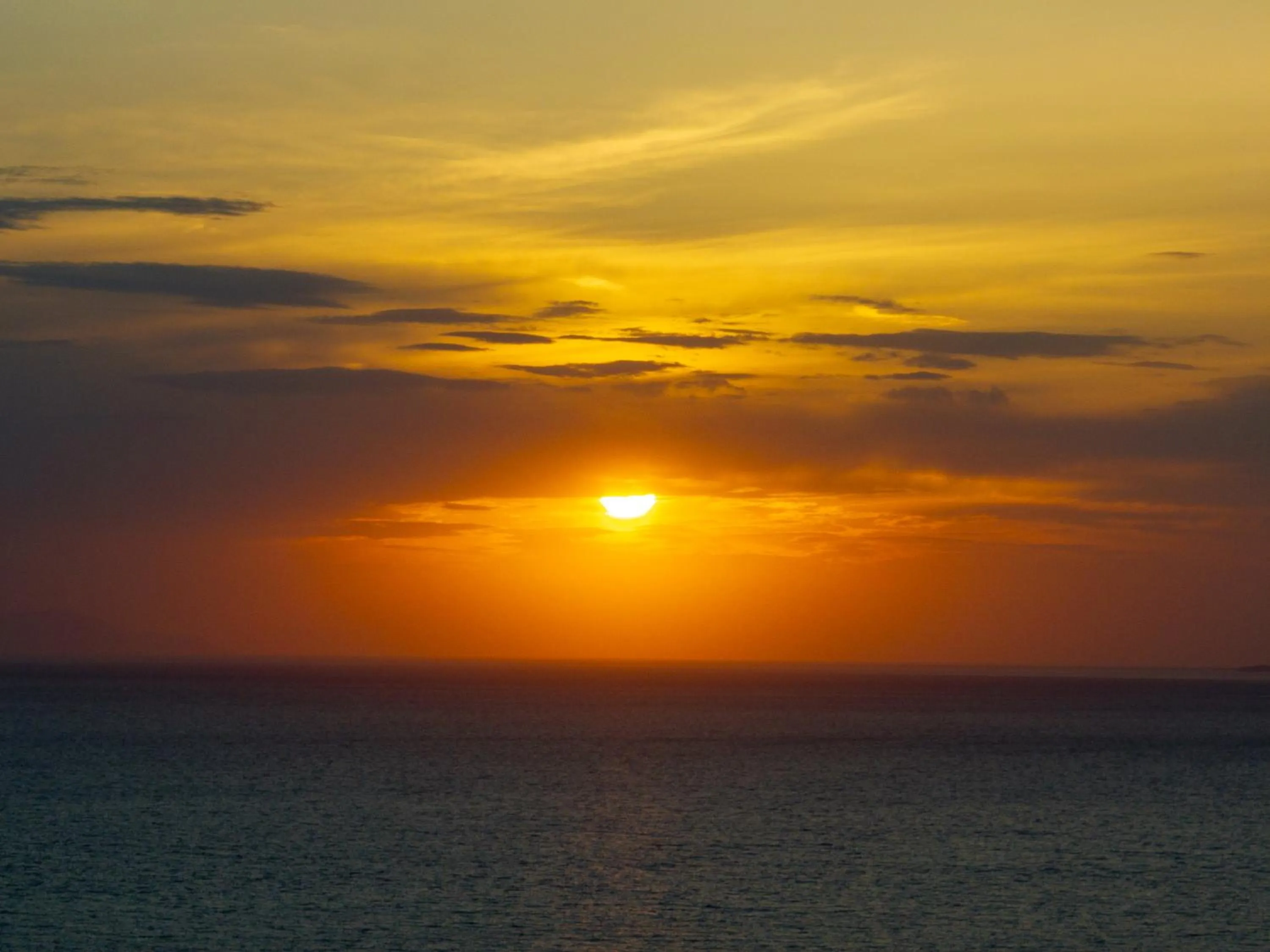 View (from property/room) in Asty Mykonos Hotel & Spa - World of One Hotel Group