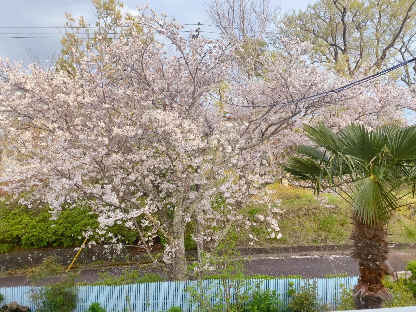 Hanamizuki Onsen Resort