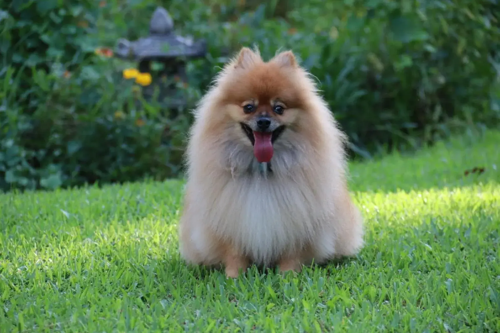 ViangPhing Resort ViangPhing Resort