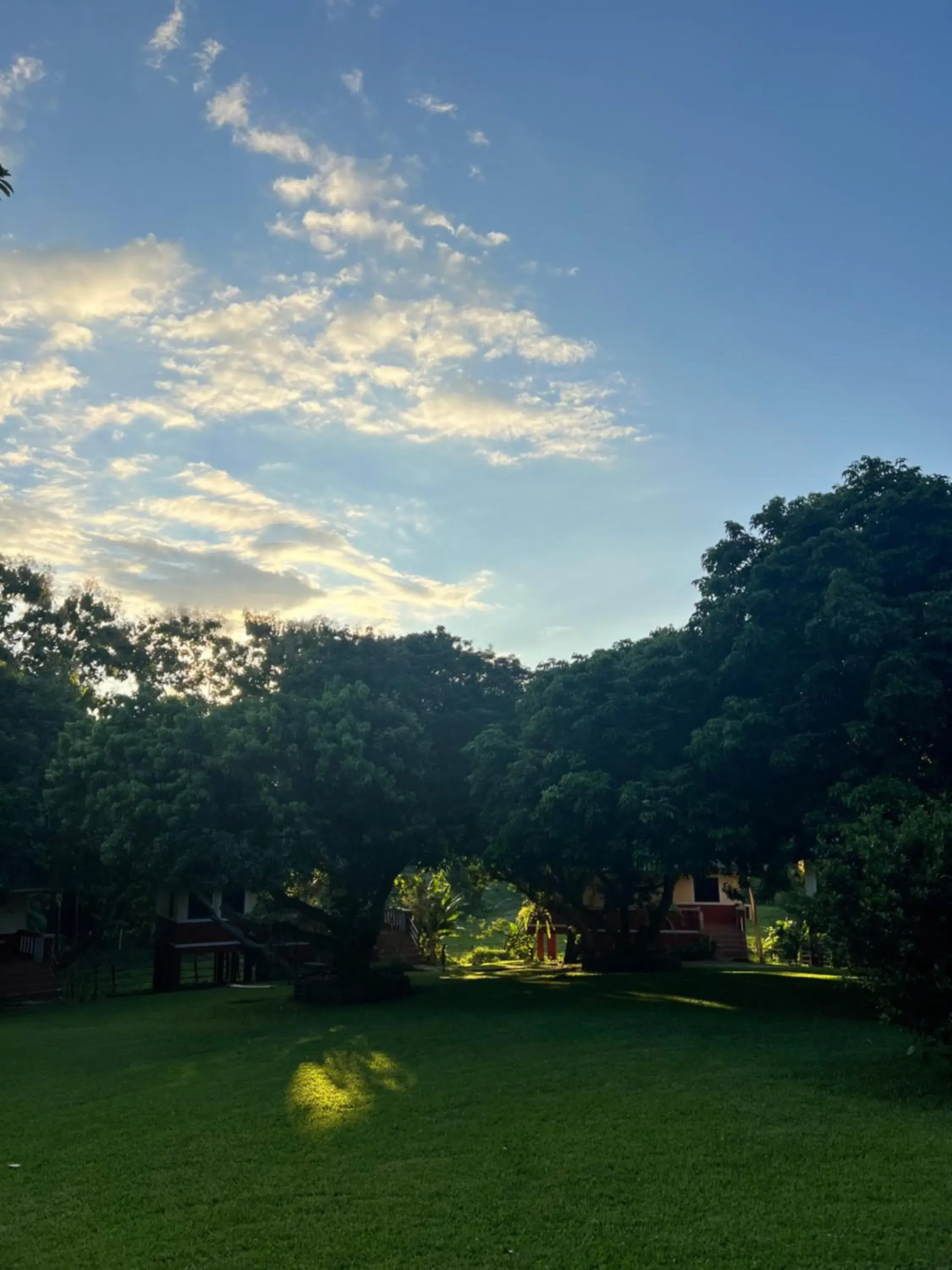 Garden view in ViangPhing Resort Garden view in ViangPhing Resort