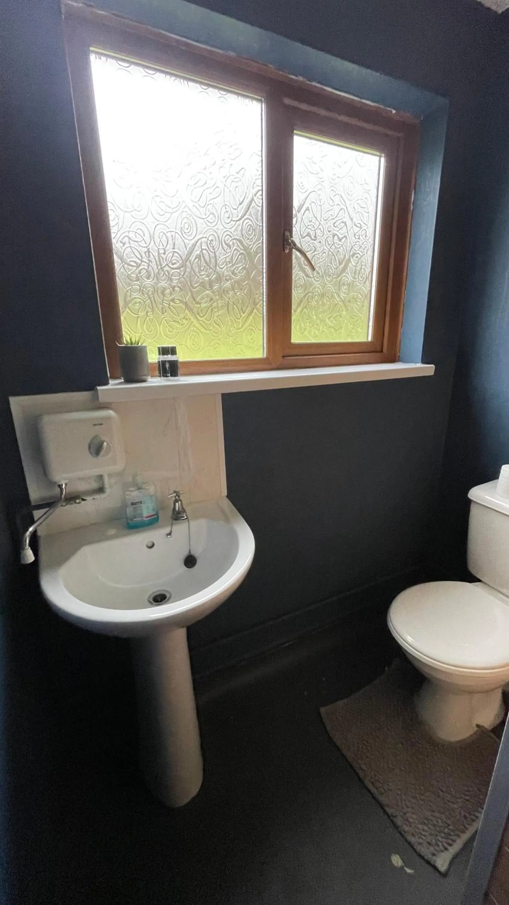 Bryn Bettws Lodge