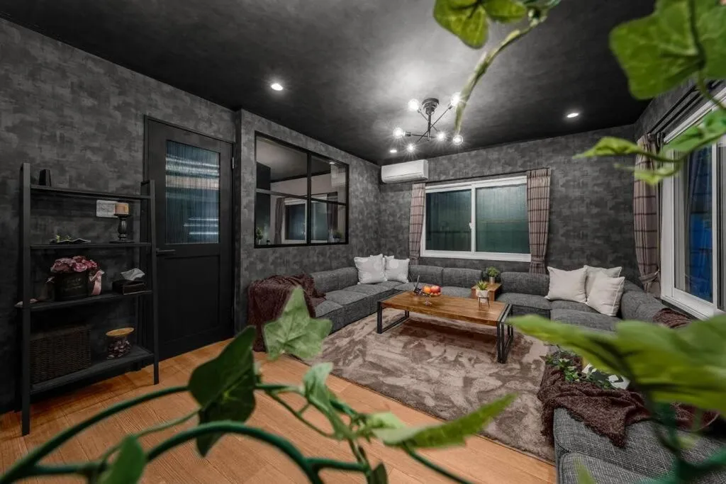 TV and multimedia in The SECRET