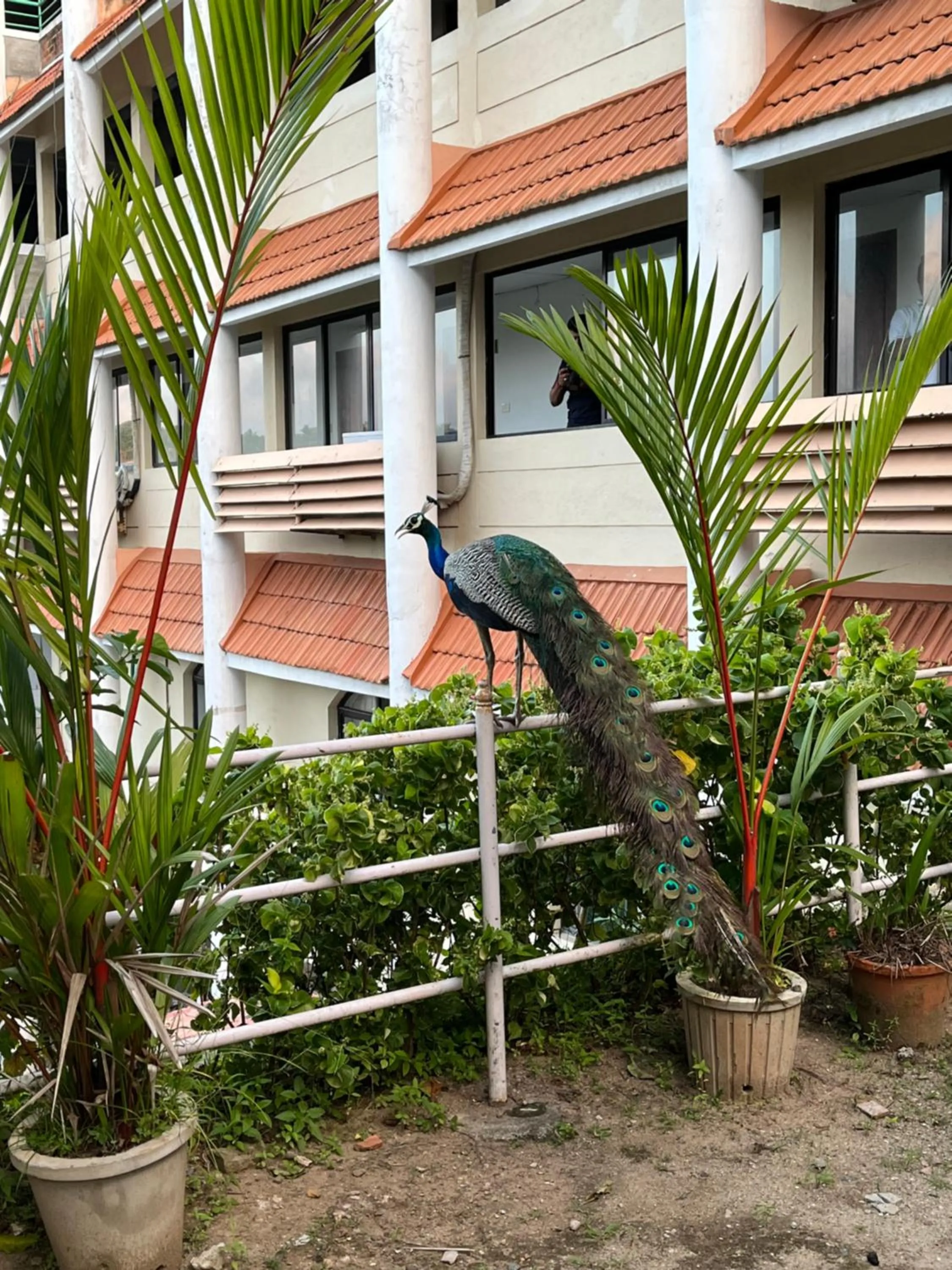 Facade/entrance in Swagath Holiday Resort