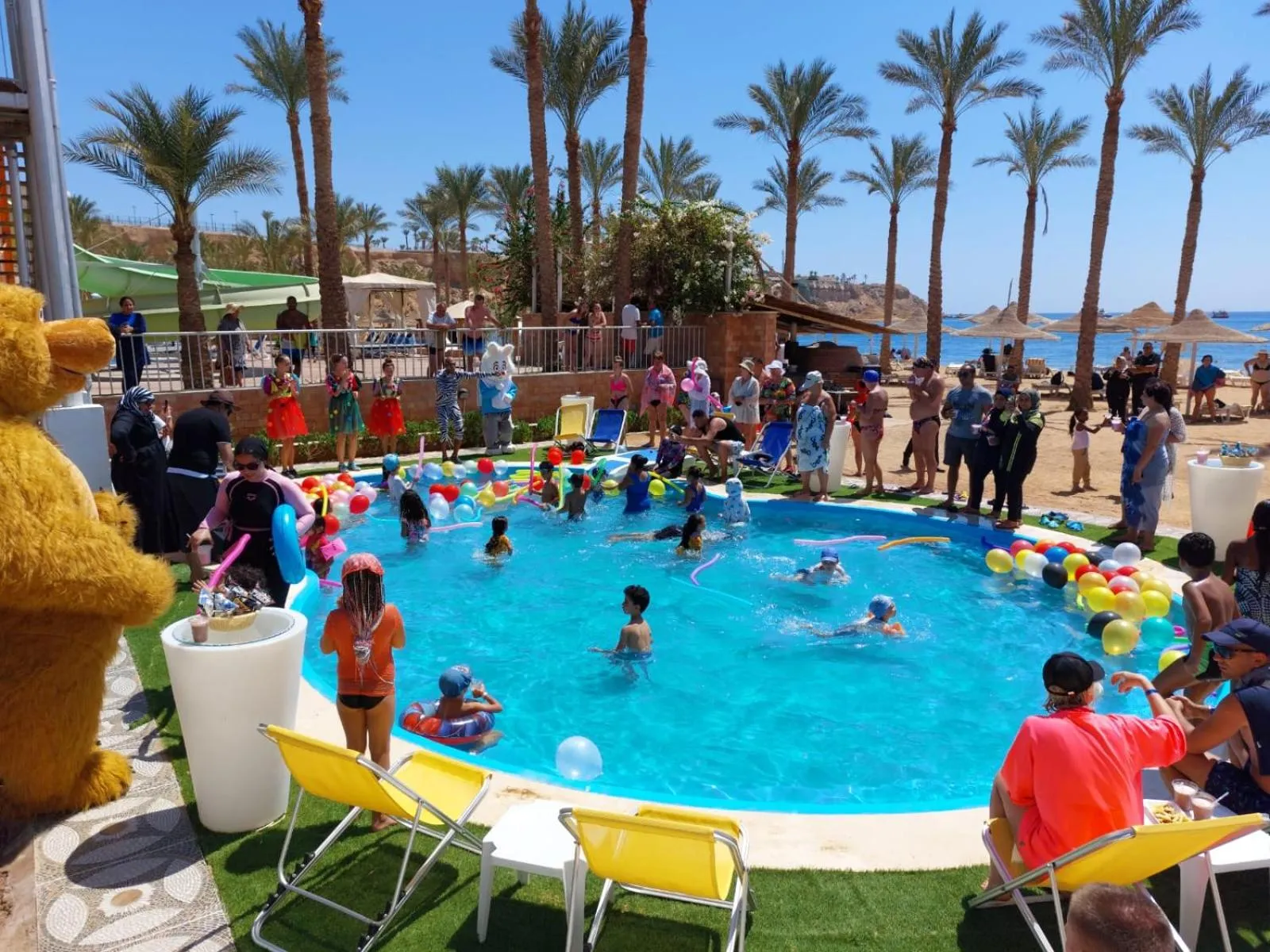 Day in Seti Sharm Palm Beach Resort Families and couples only