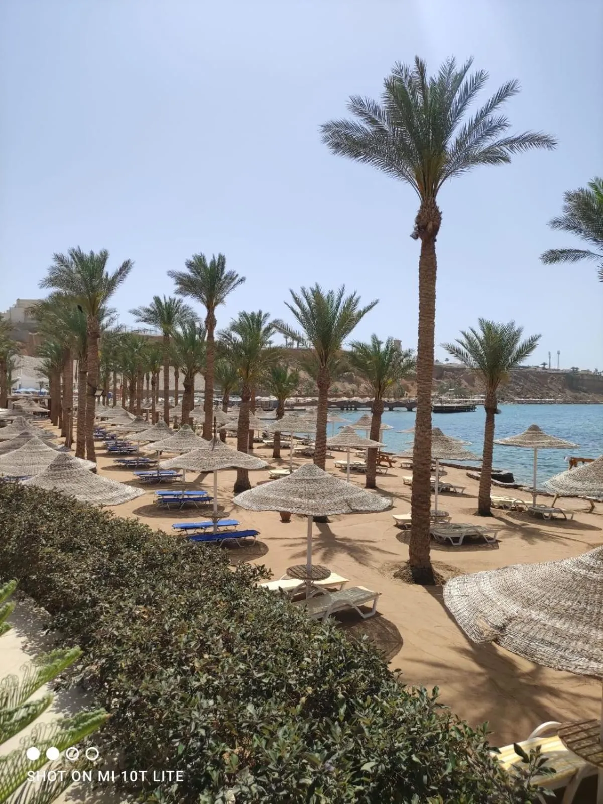 Beach in Seti Sharm Palm Beach Resort Families and couples only