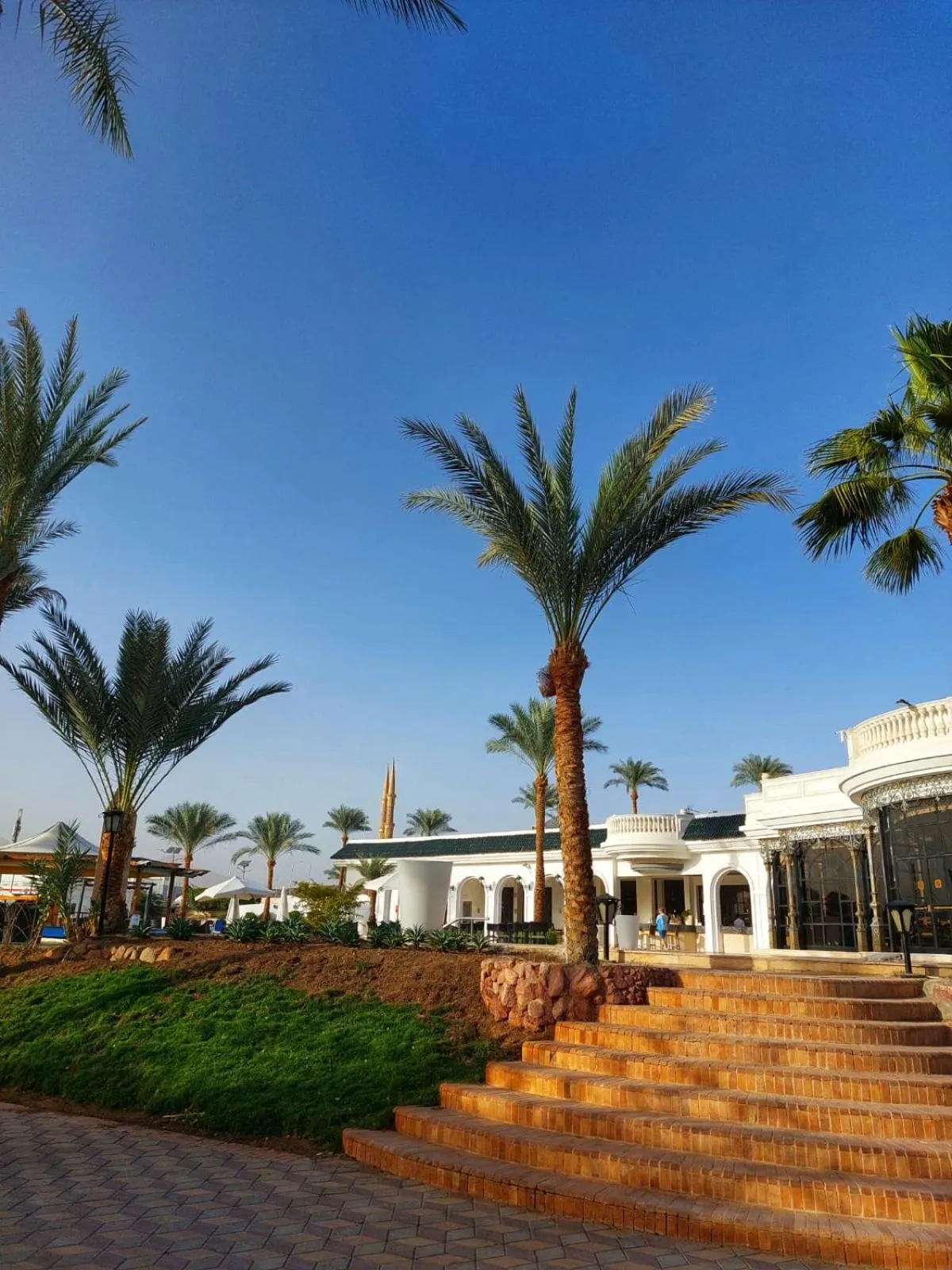 Property building in Seti Sharm Palm Beach Resort Families and couples only