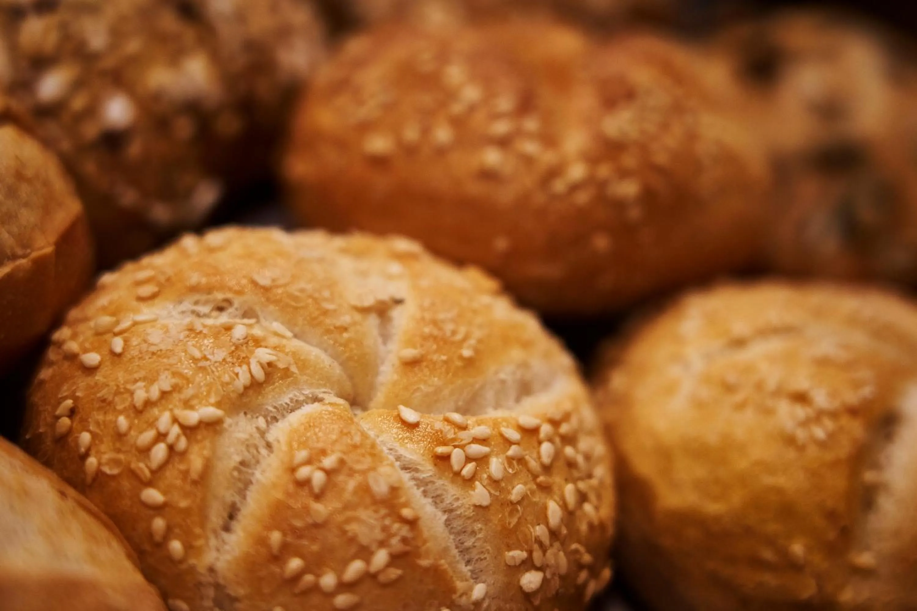 Food in Hotel Leonardo da Vinci